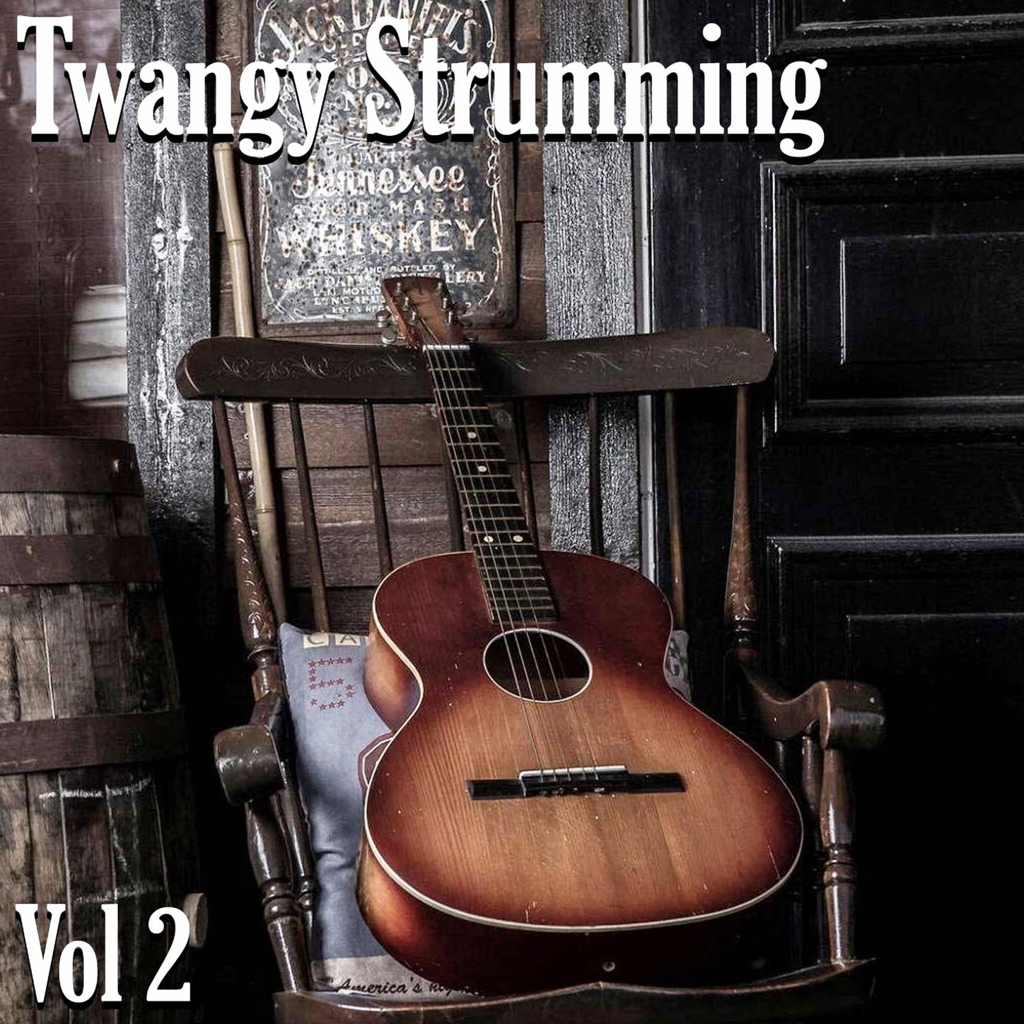Twangy Strumming Vol. 2