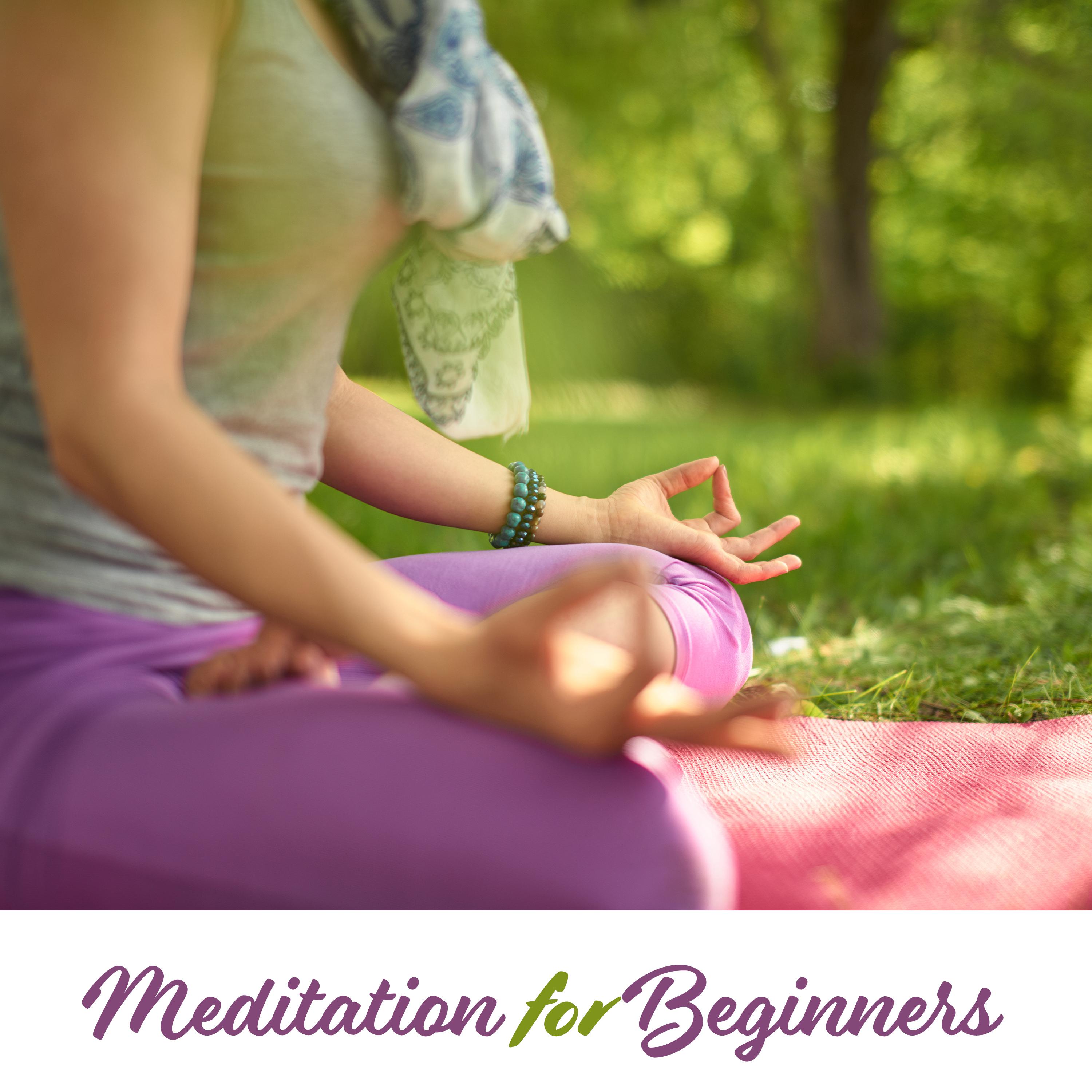 Meditation for Beginners (Healing Hypnosis, Awaken Your Chakra System)