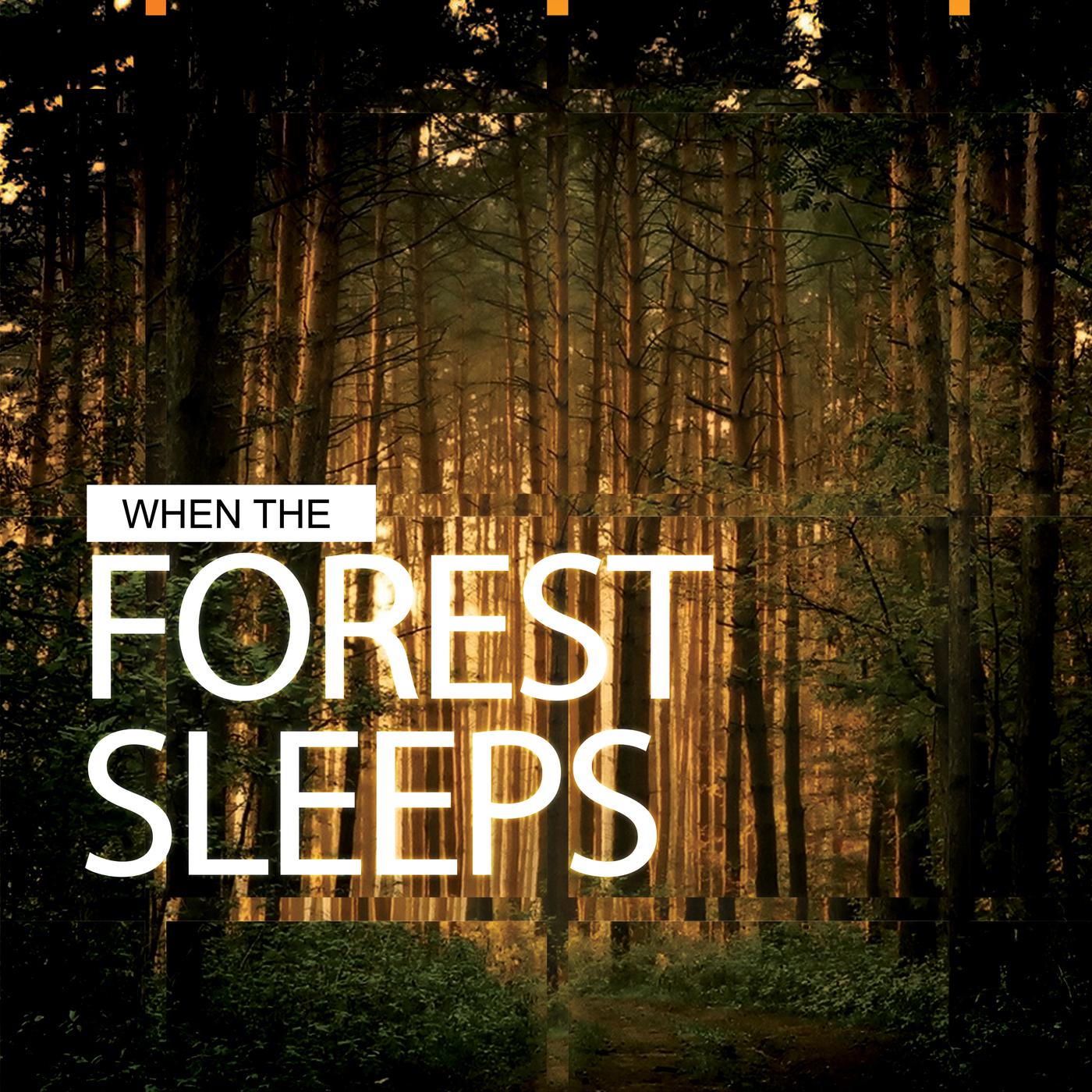 When the Forest Sleeps