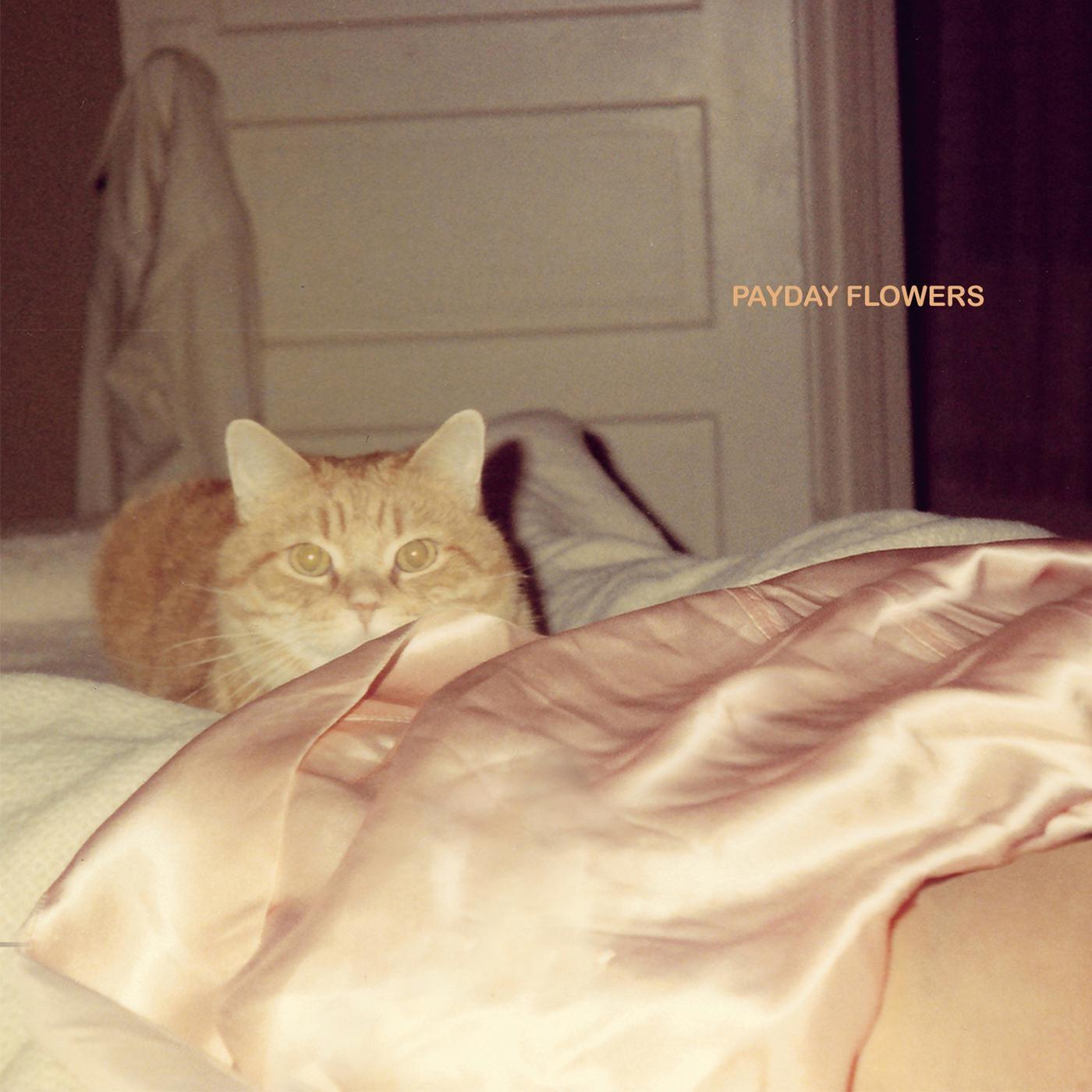 One and a Half Stars