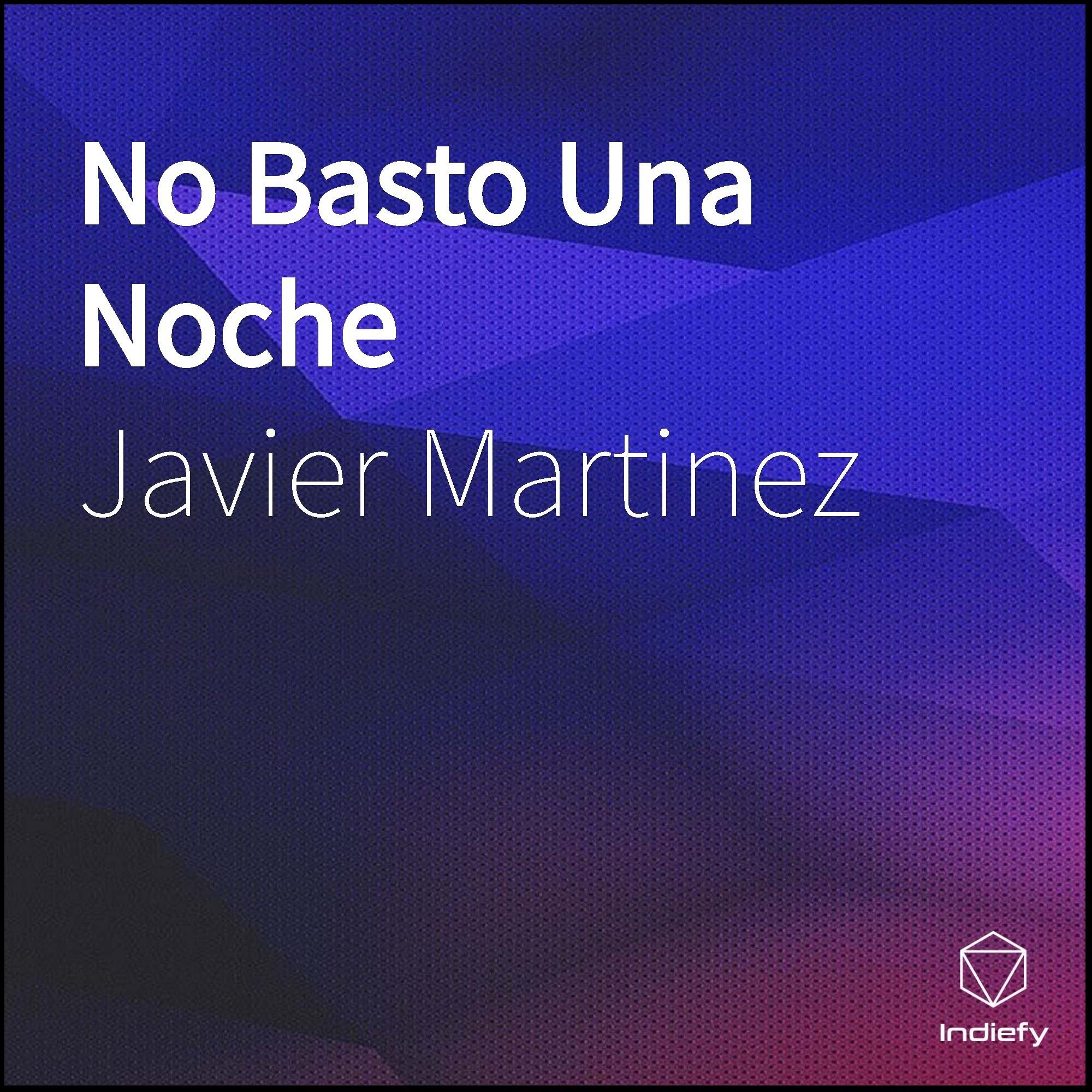 No Basto Una Noche