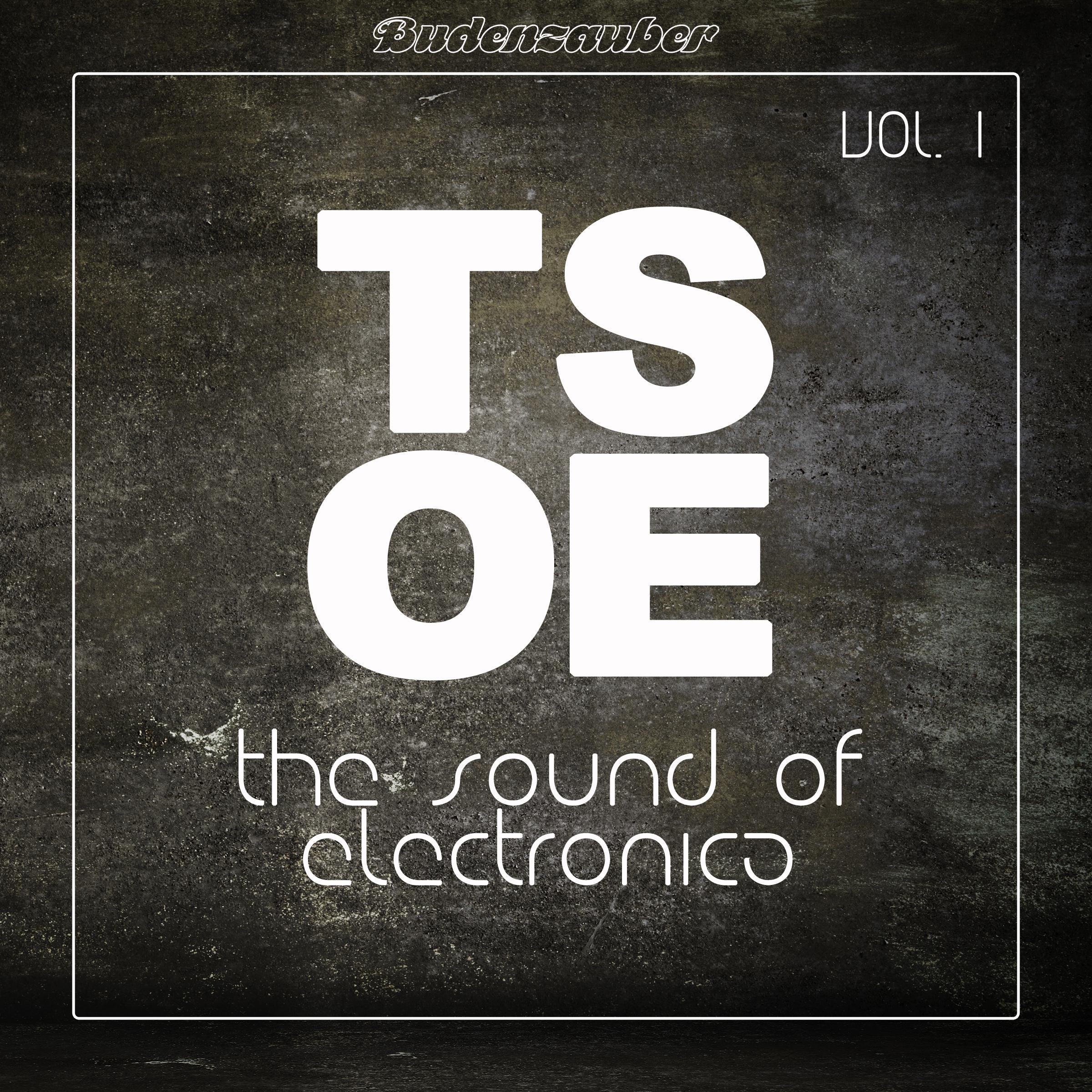 TSOE (The Sound of Electronica), Vol. 1