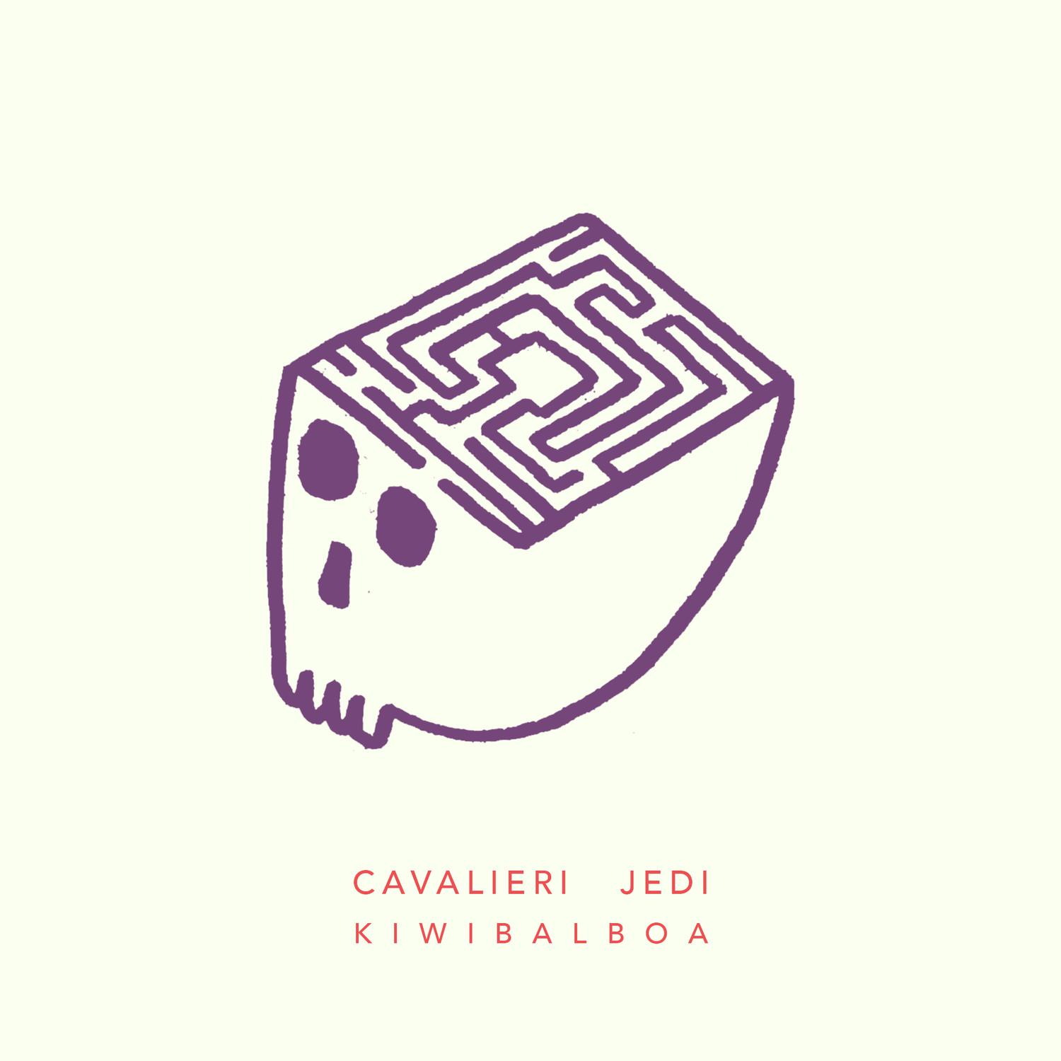 Cavalieri Jedi