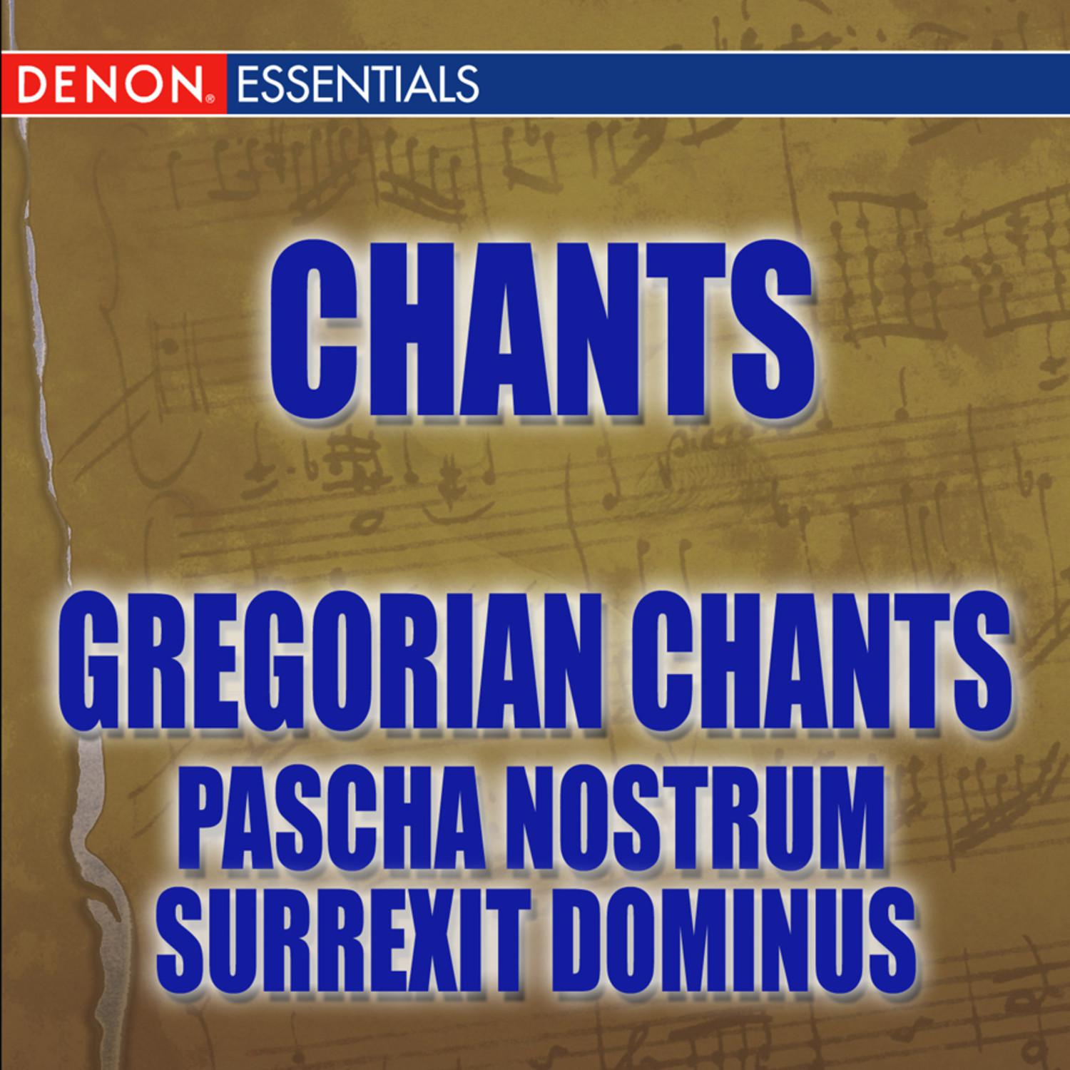 Pascha Nostrum - Veglia e Domenica di Pasqua: Agnus Dei I