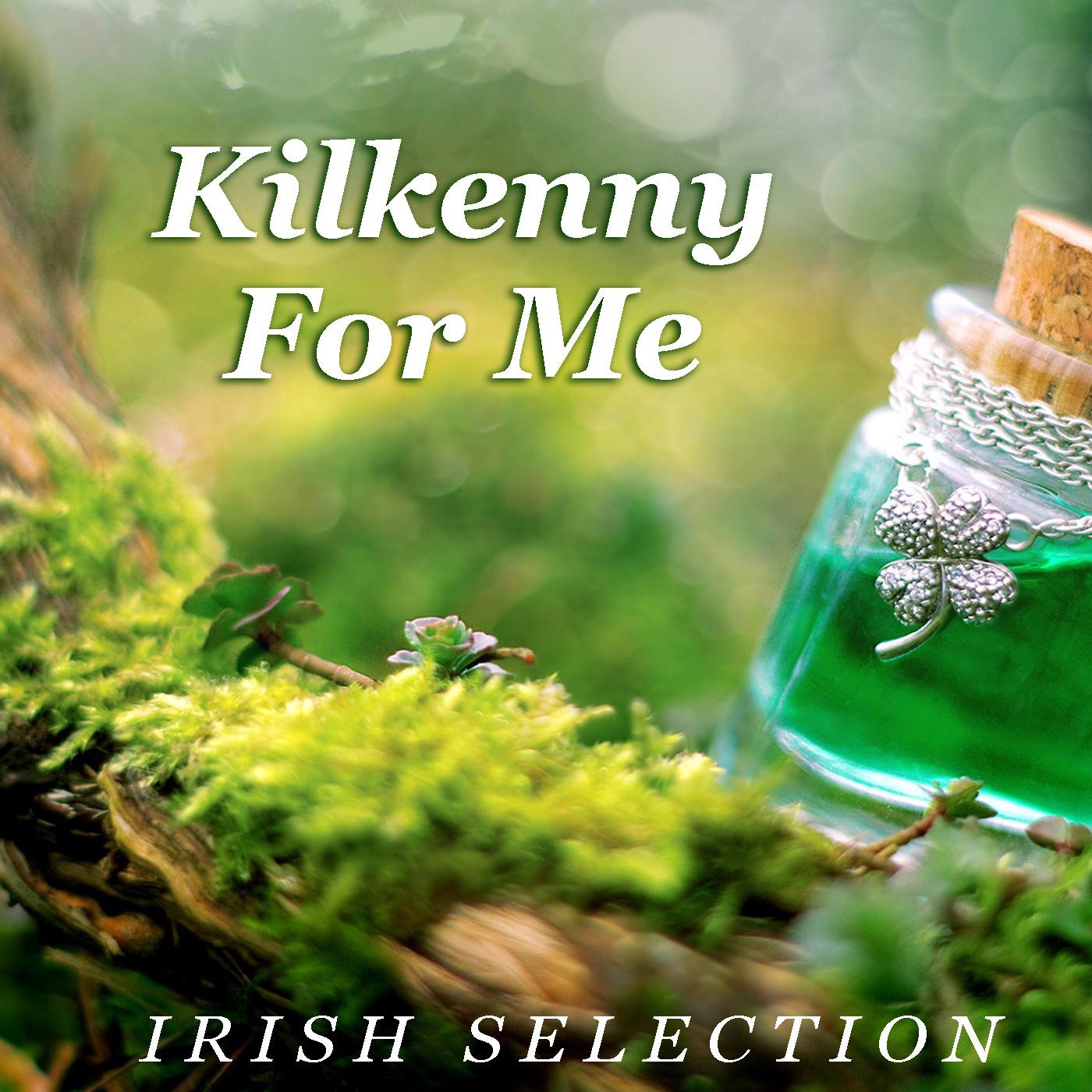 Kilkenny For Me Irish Selection