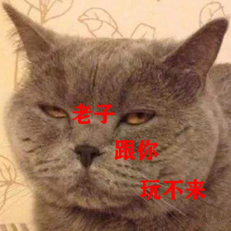 lao zi gen ni wan bu lai