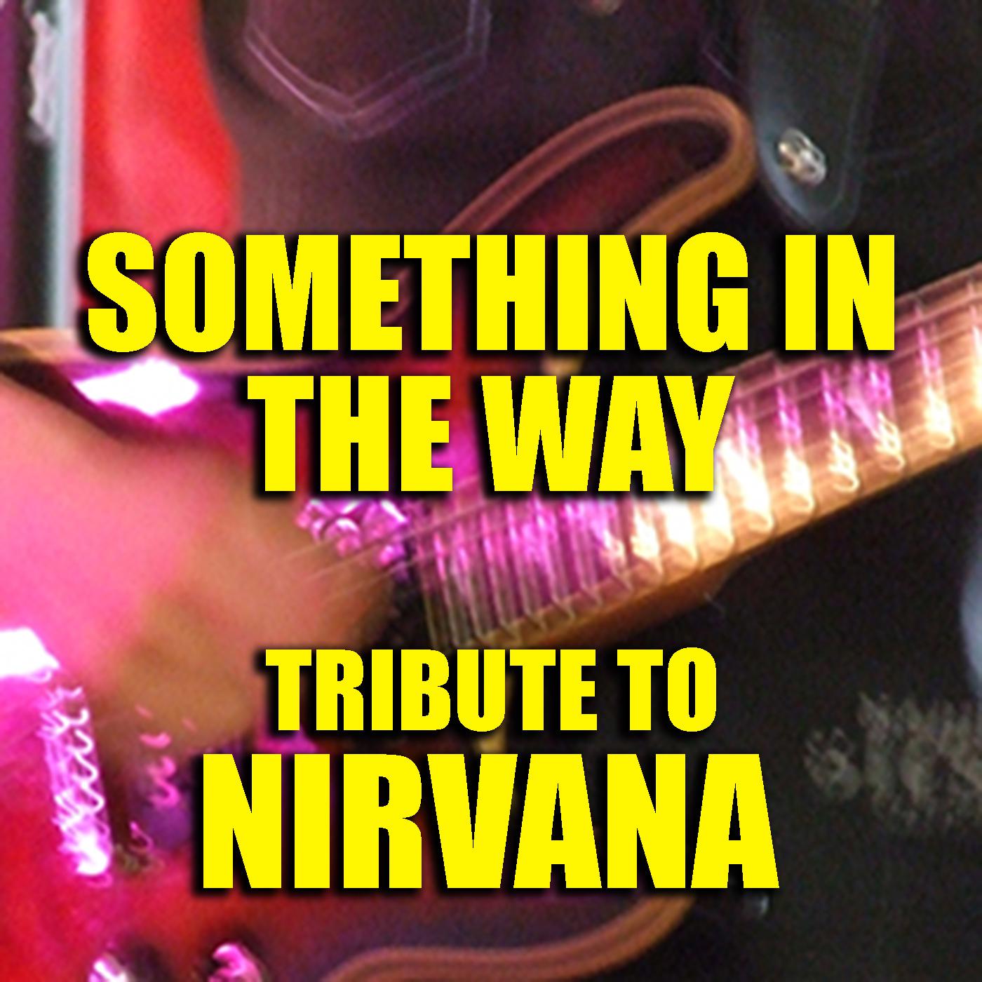 Something In The Way Tribute To Nirvana