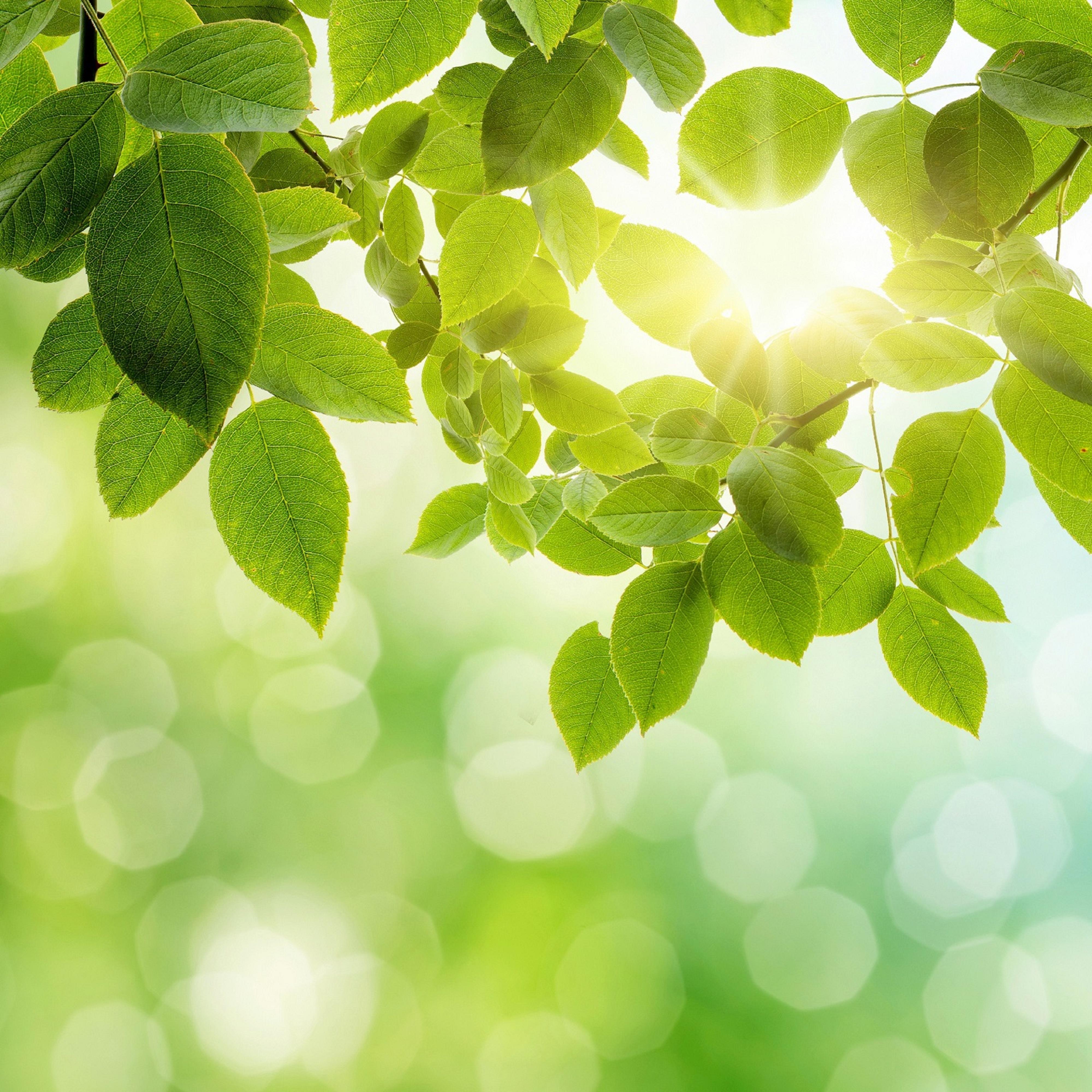 ASMR Quiet Classroom Sounds to Help You Concentrate