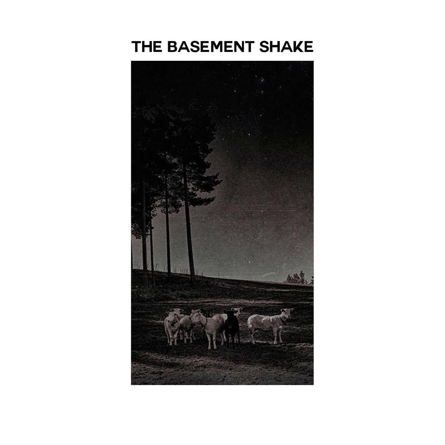 The Basement Shake