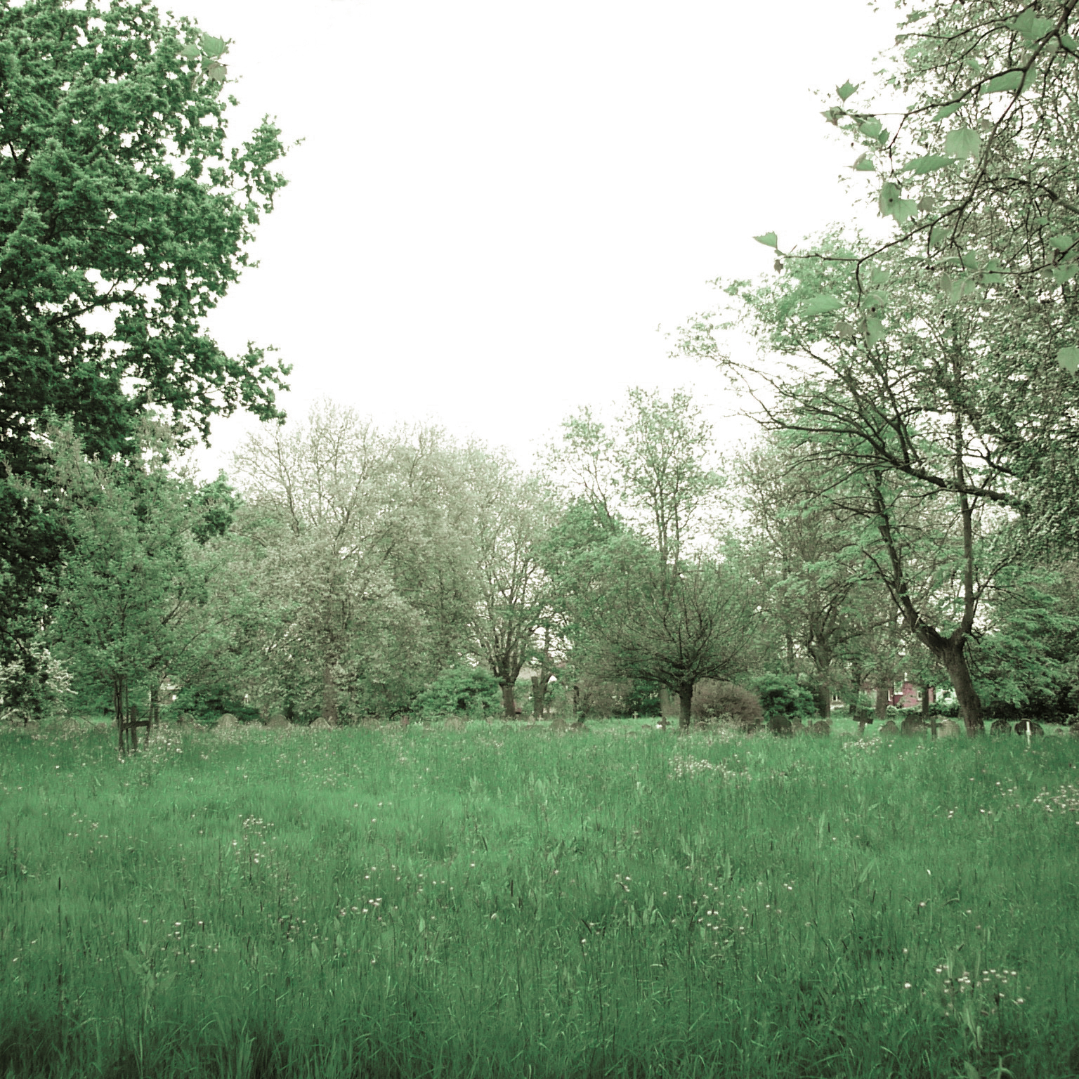 Spire: Live in Geneva Cathedral