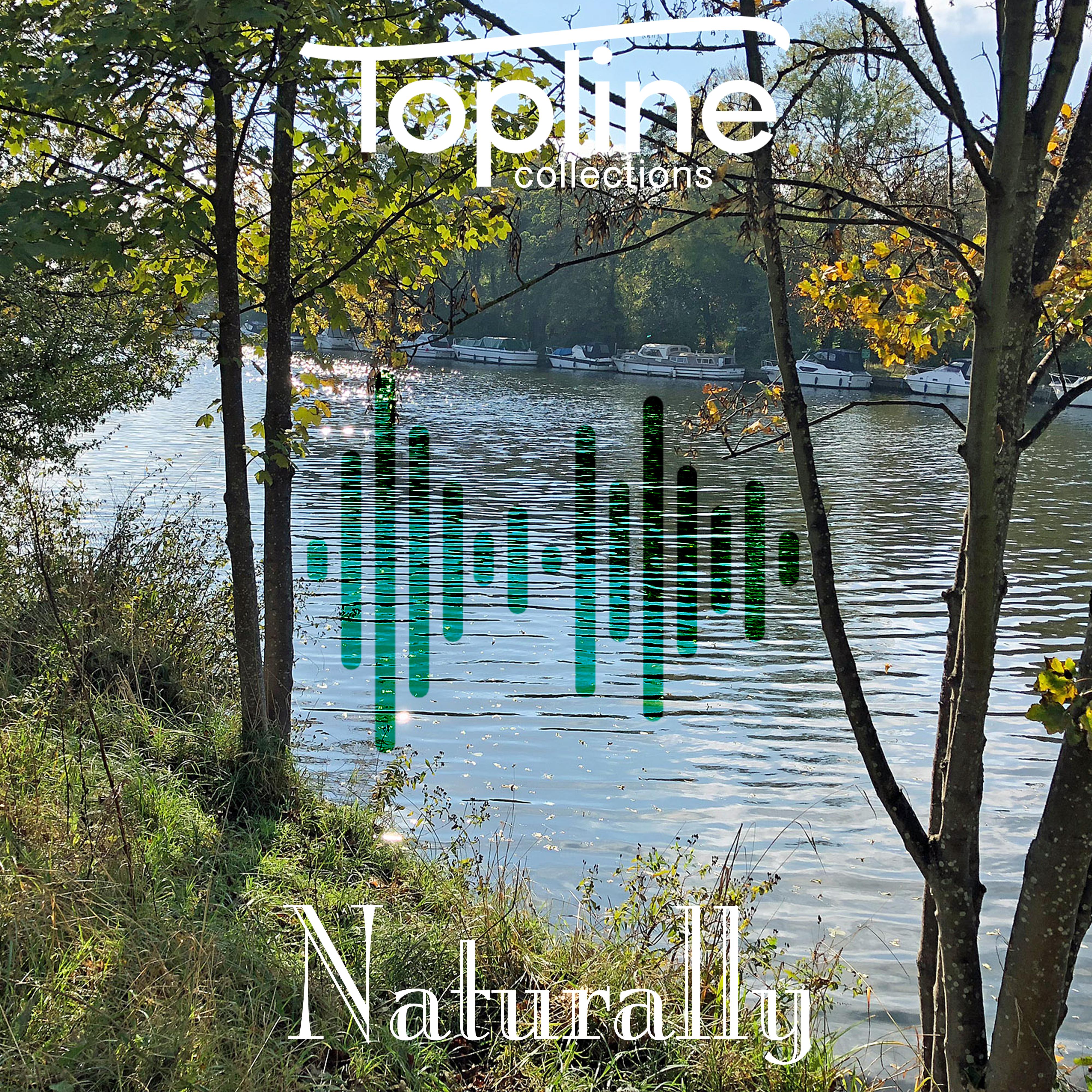 Topline Collections: Naturally