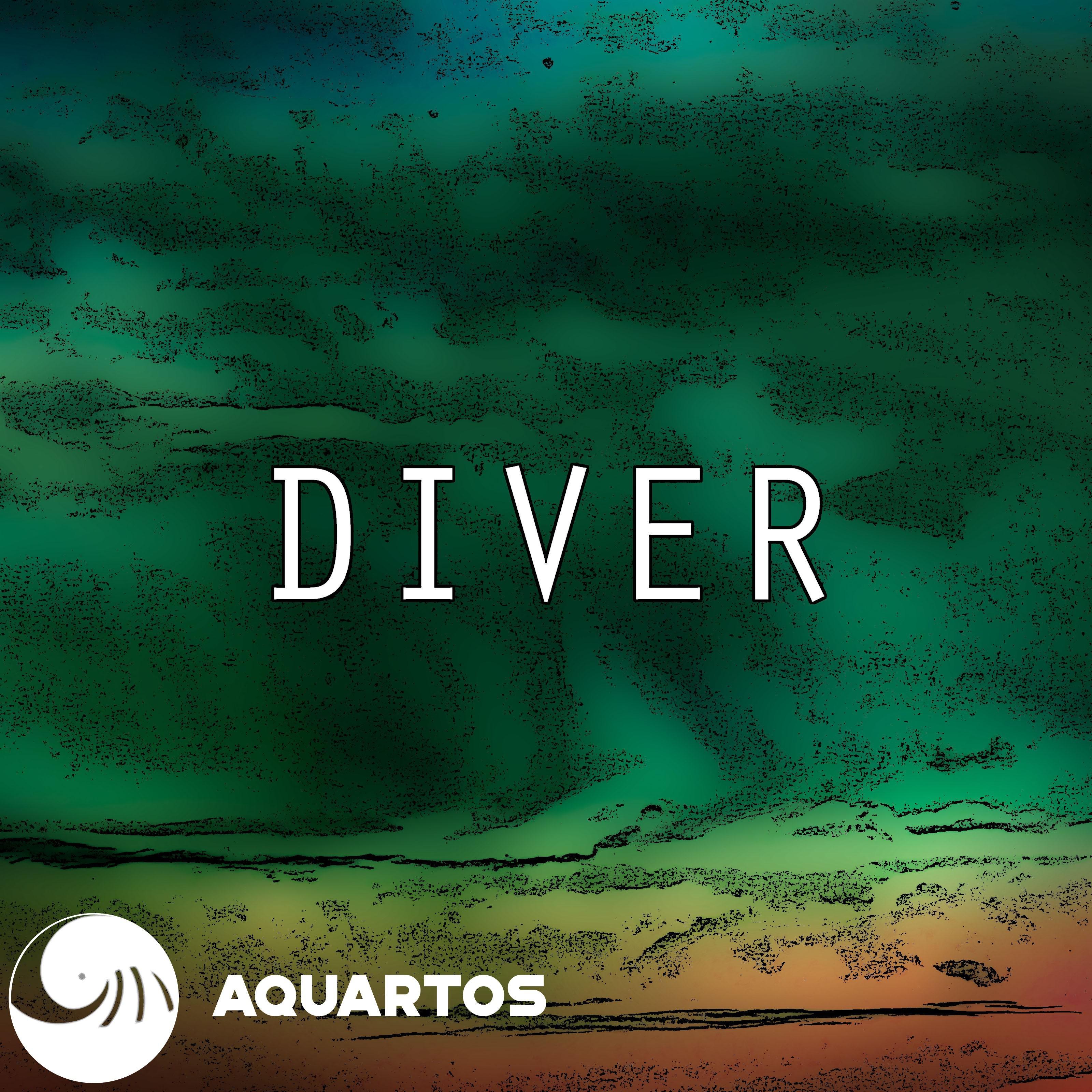 Diver
