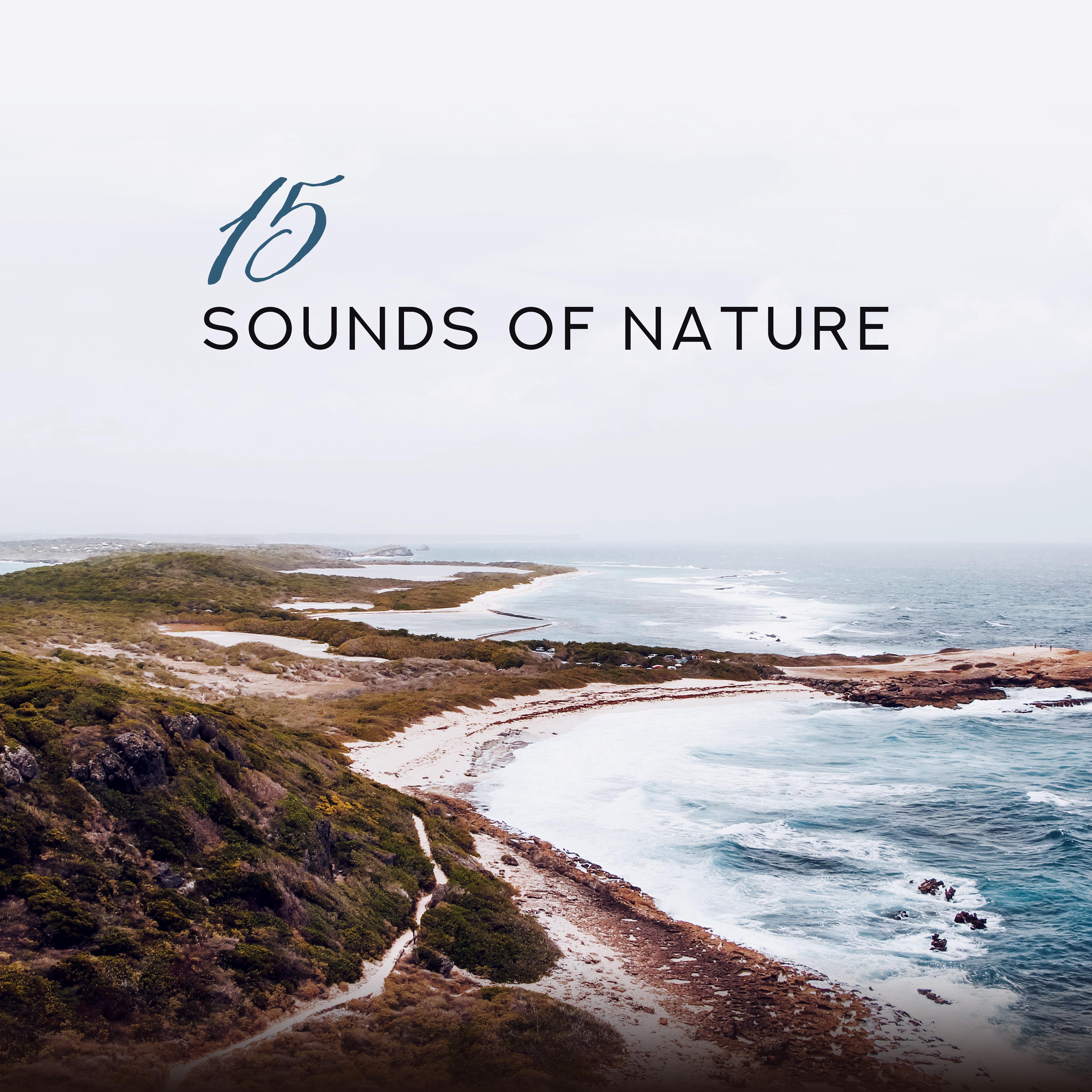 15 Sounds of Nature  Deep Therapy Music, Peaceful Sounds for Relaxation, Sleep, Deep Meditation, Rest, Spa, Lounge Music, Nature Sounds, Stress Relief, Music Zone