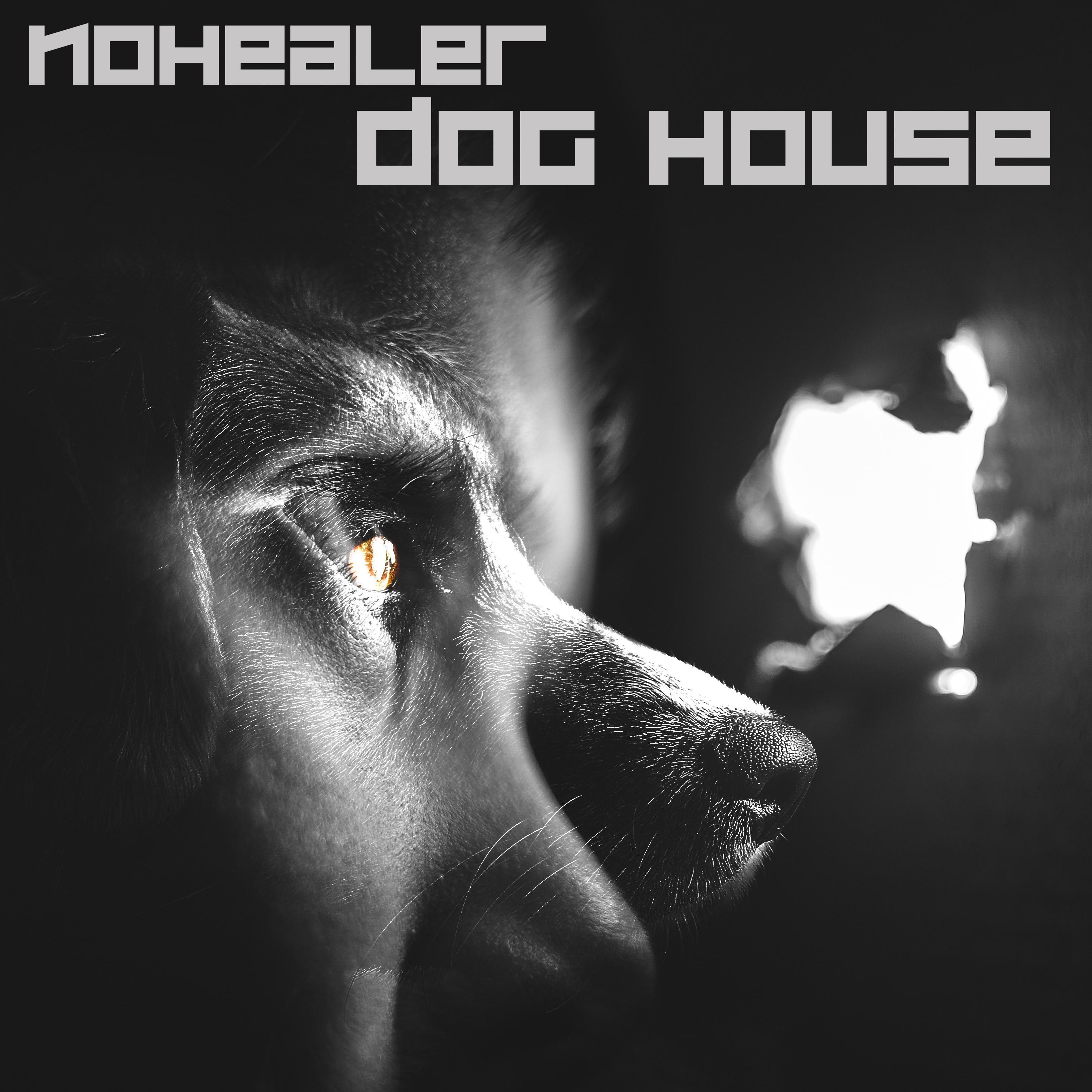 Dog House