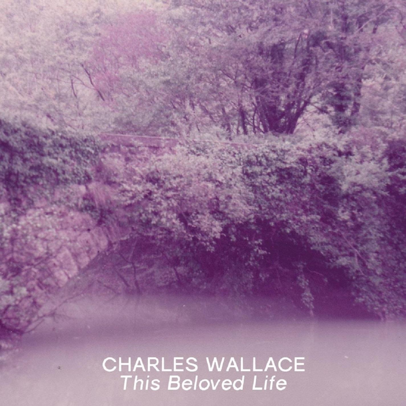 Out Of Sight, Out Of Mind