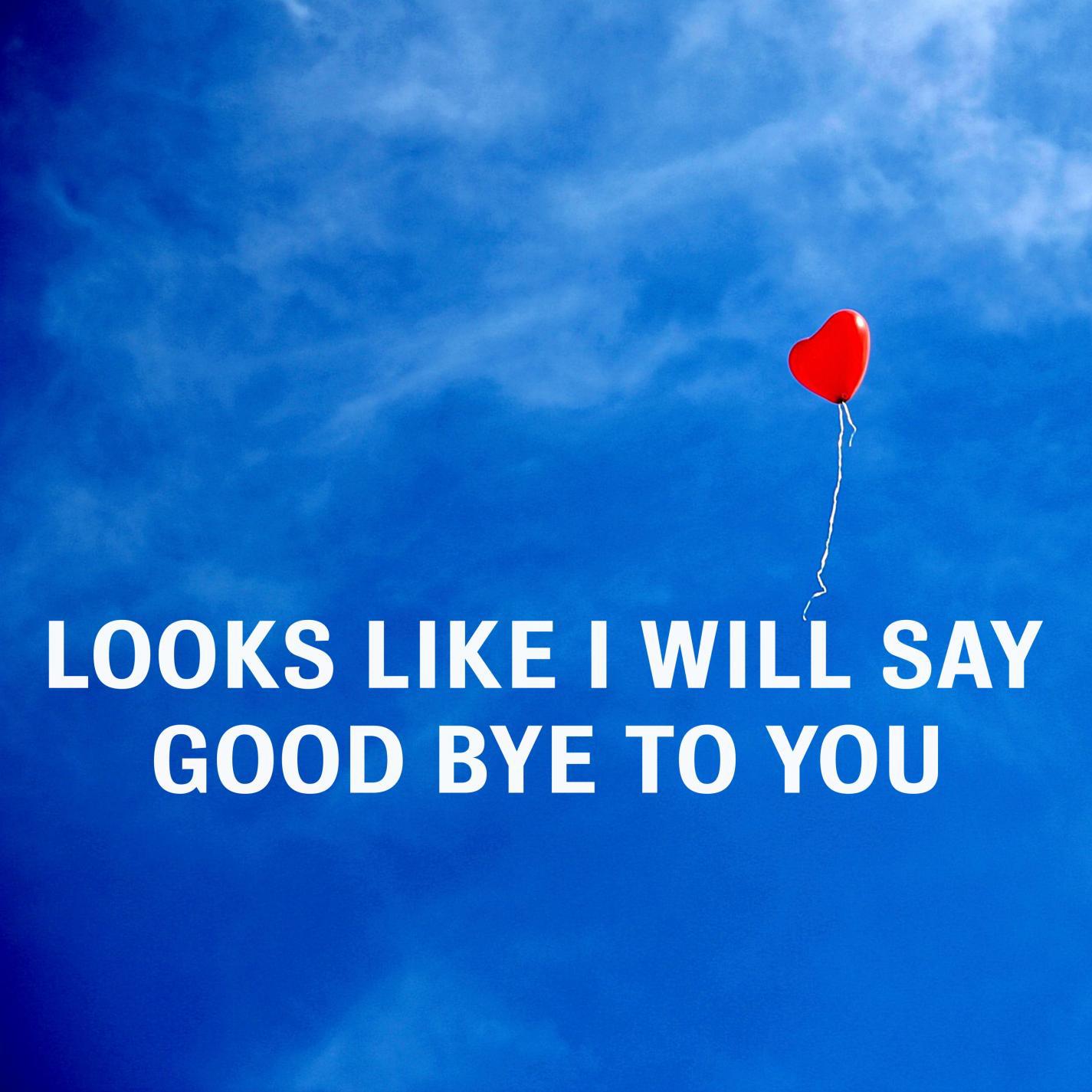 You Distorted My Dream, Now What