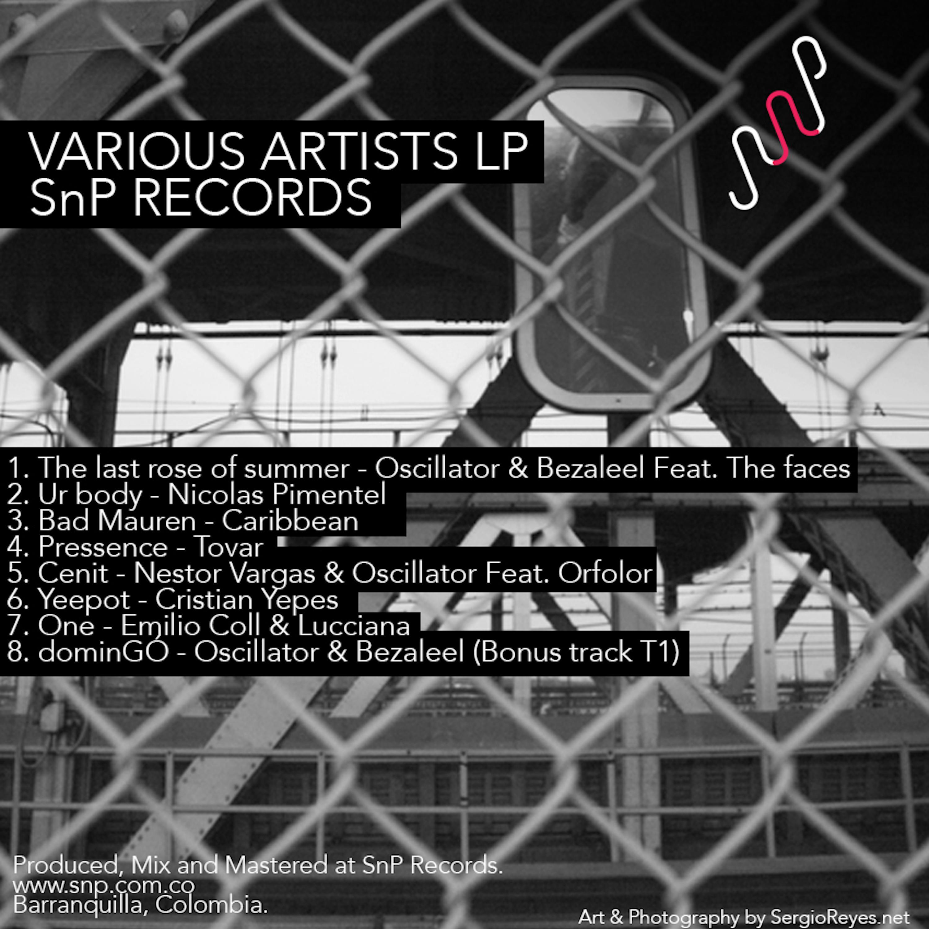 The Last Rose of Summer