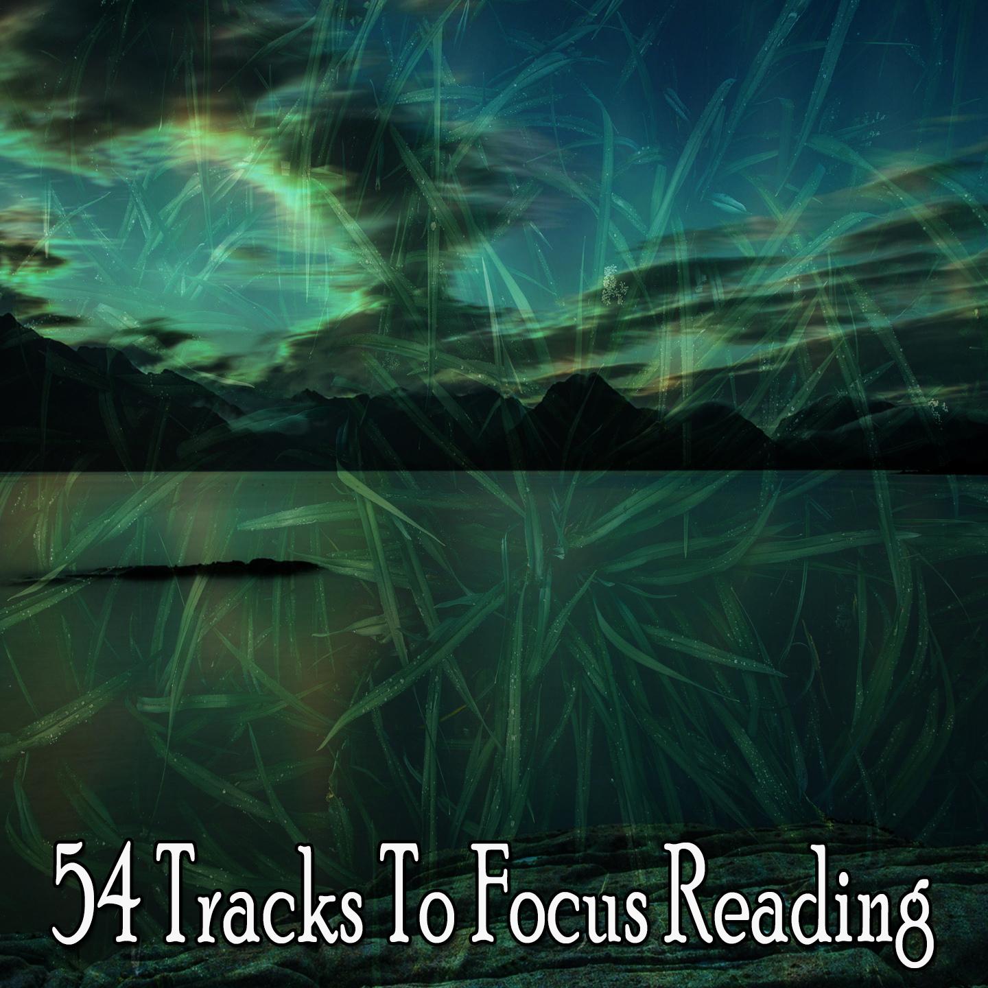 54 Tracks to Focus Reading