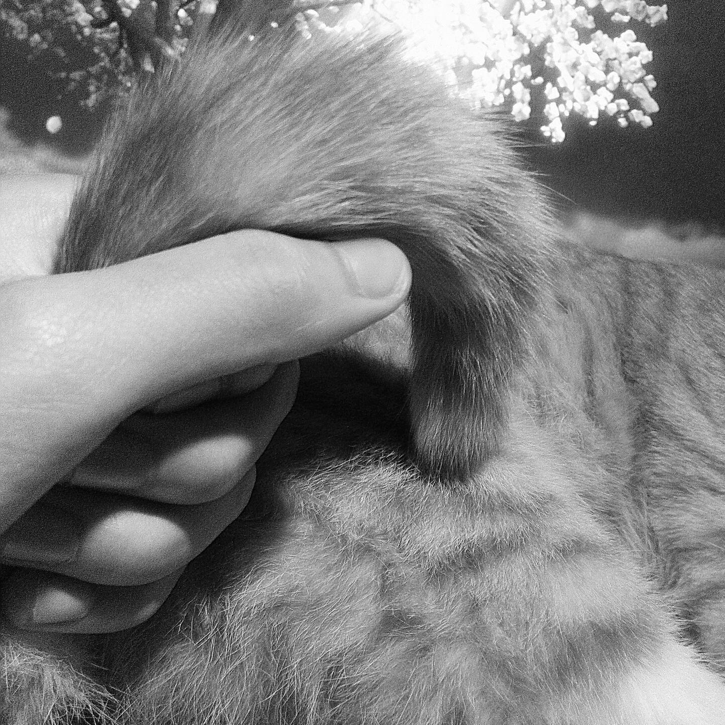 wo ye bu zhi dao gai qu shen me ming zi hao le