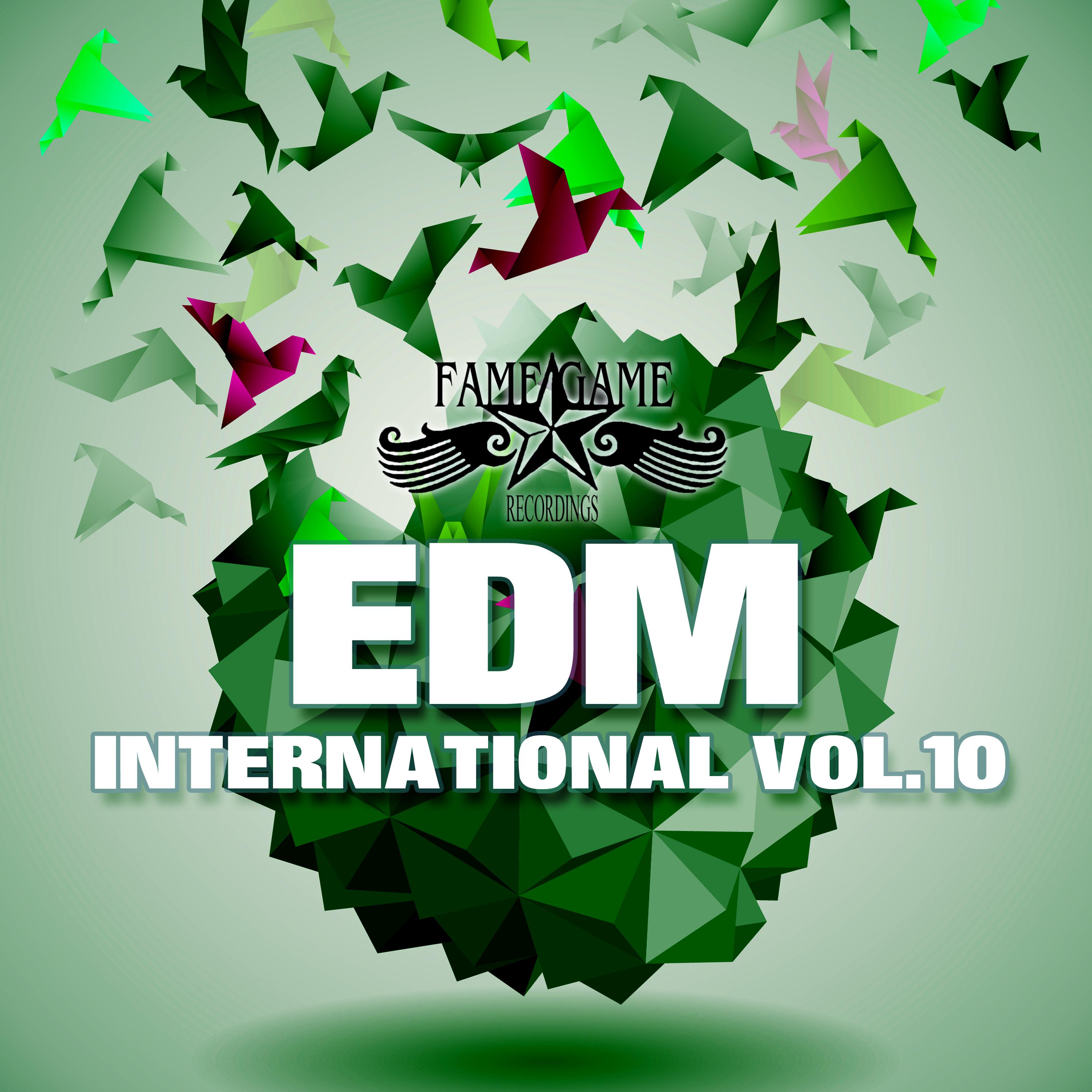 EDM International, Vol. 10