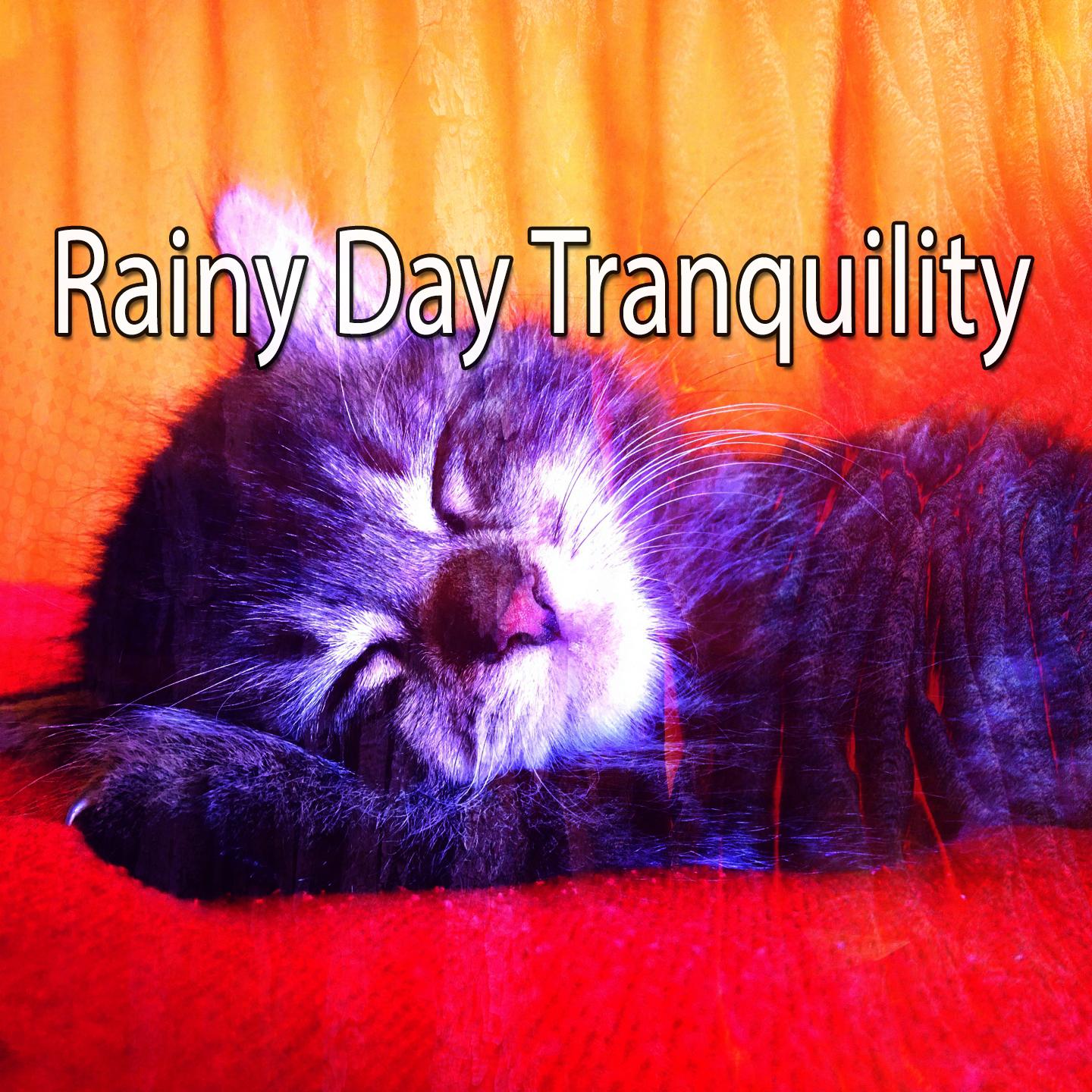 Rainy Day Tranquility