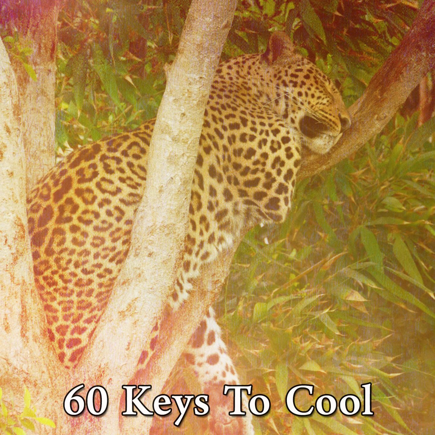 60 Keys to Cool