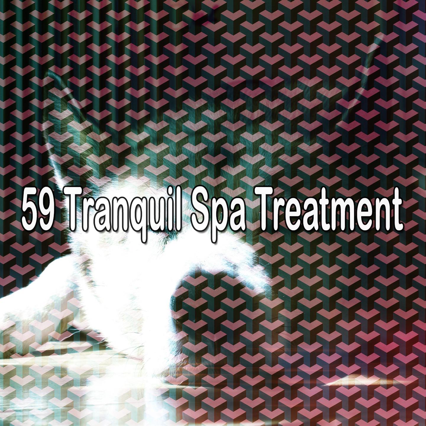 59 Tranquil Spa Treatment
