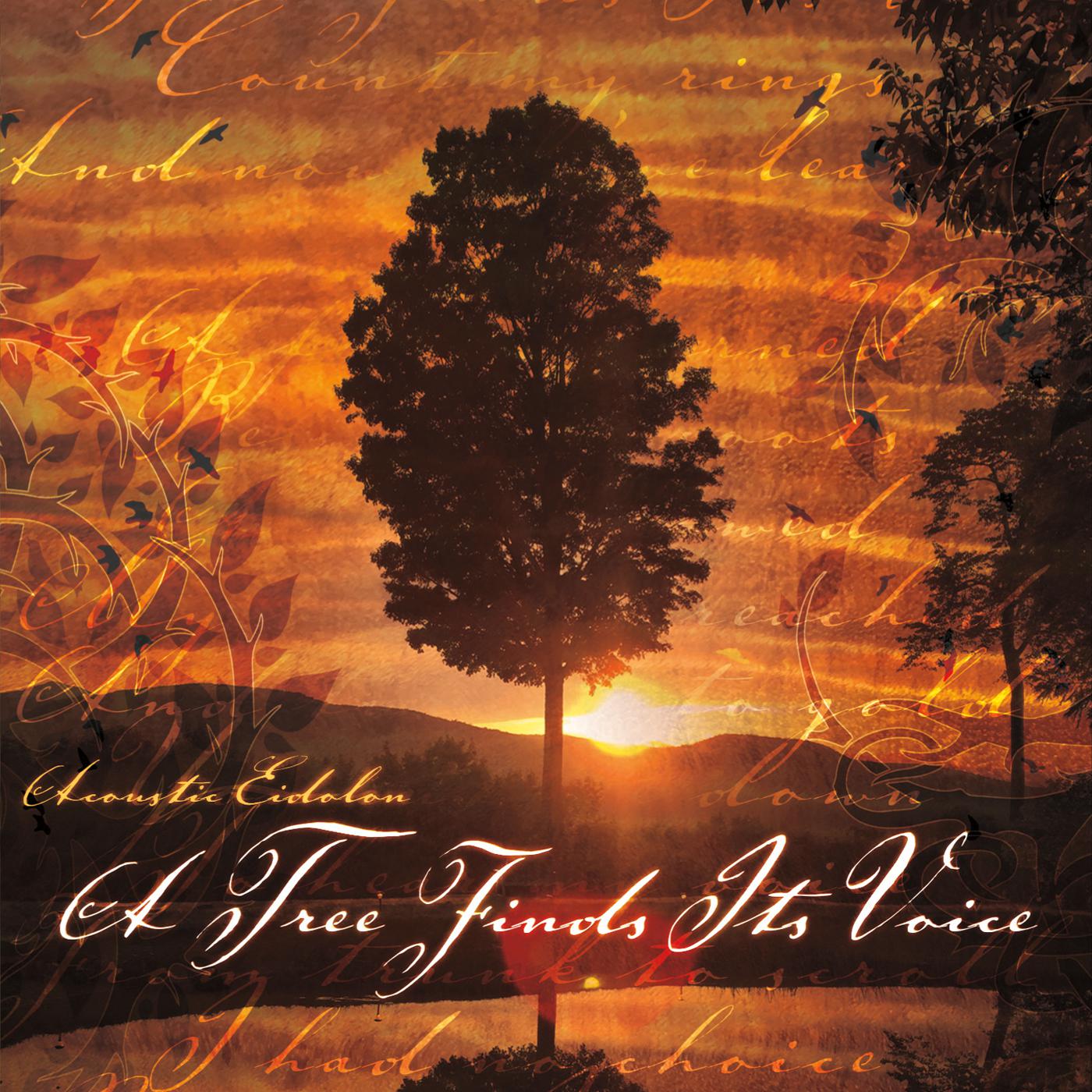 You're Everything I Wanted Love to Be