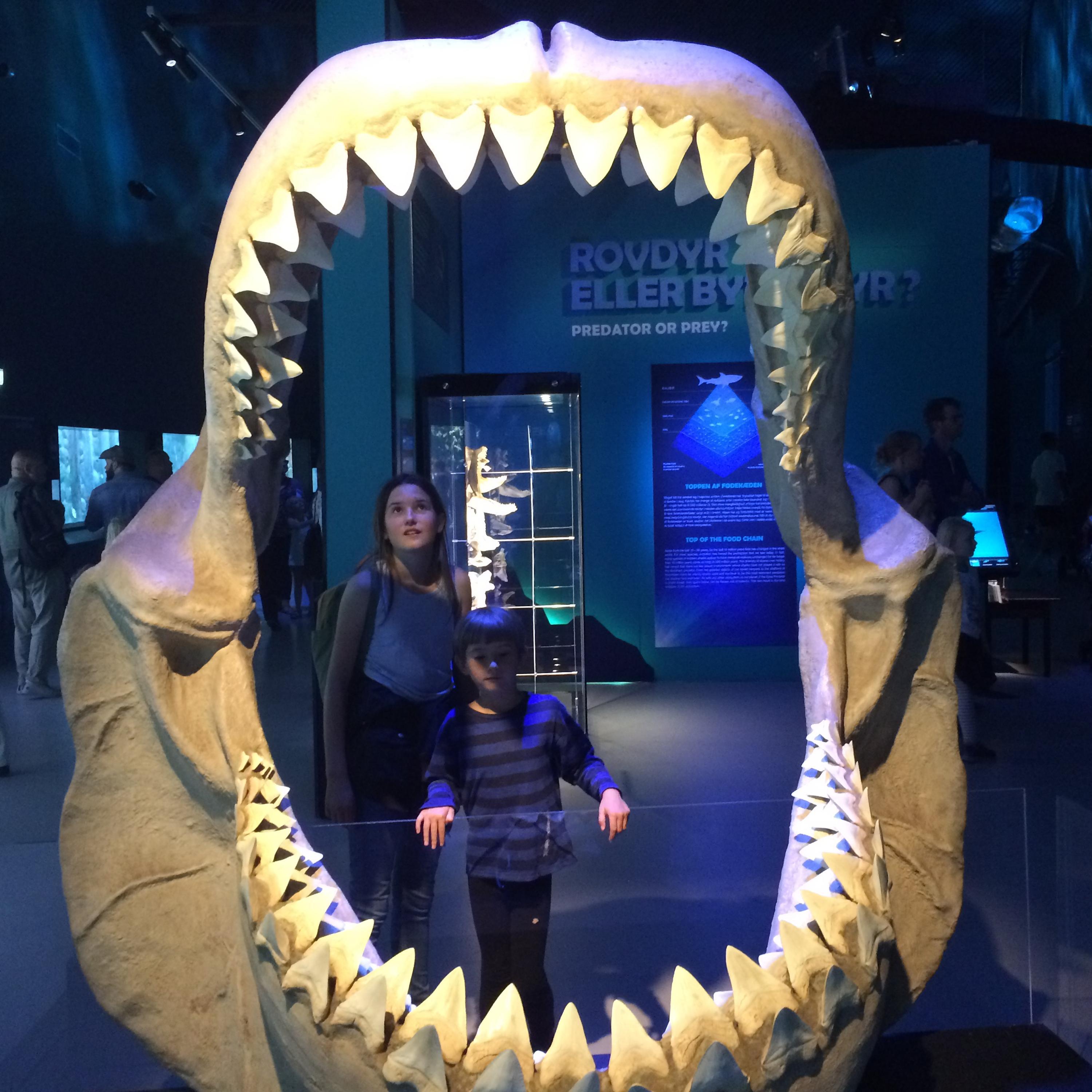 Carry On, Angel Eyes, Walk Alone