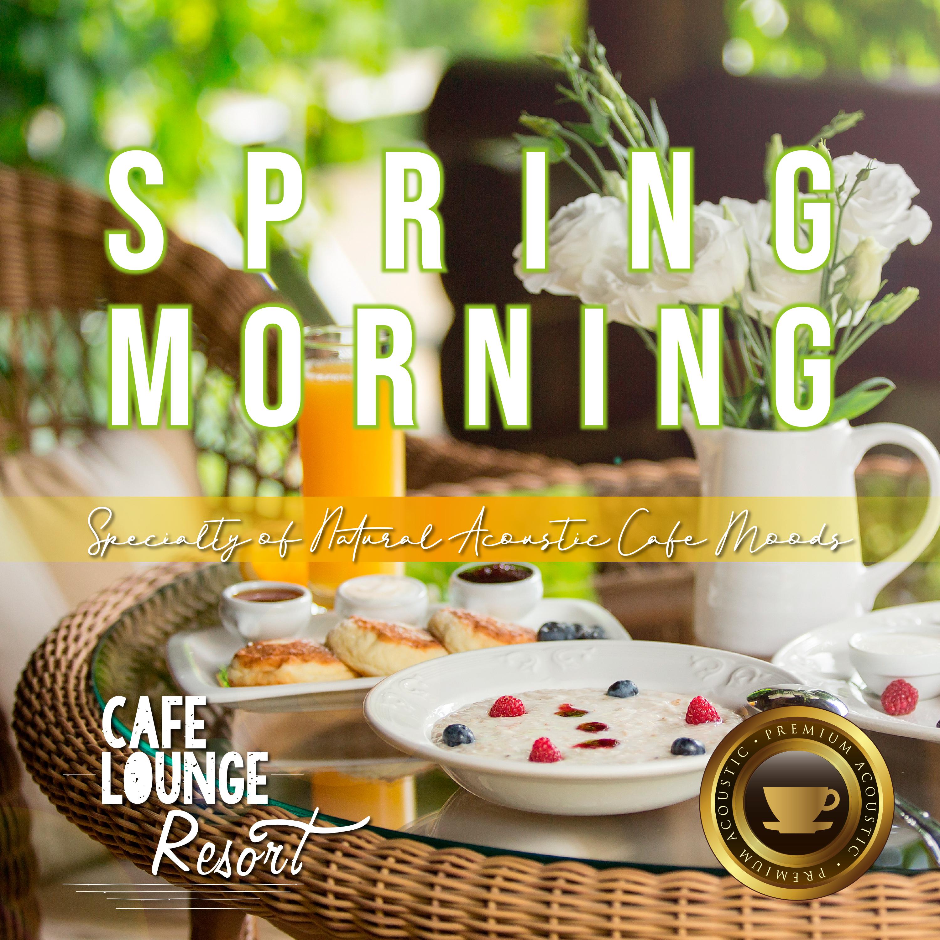 Spring Morning Specialty of Natural Acoustic Cafe Moods Lovely Morning Guitar Background Music