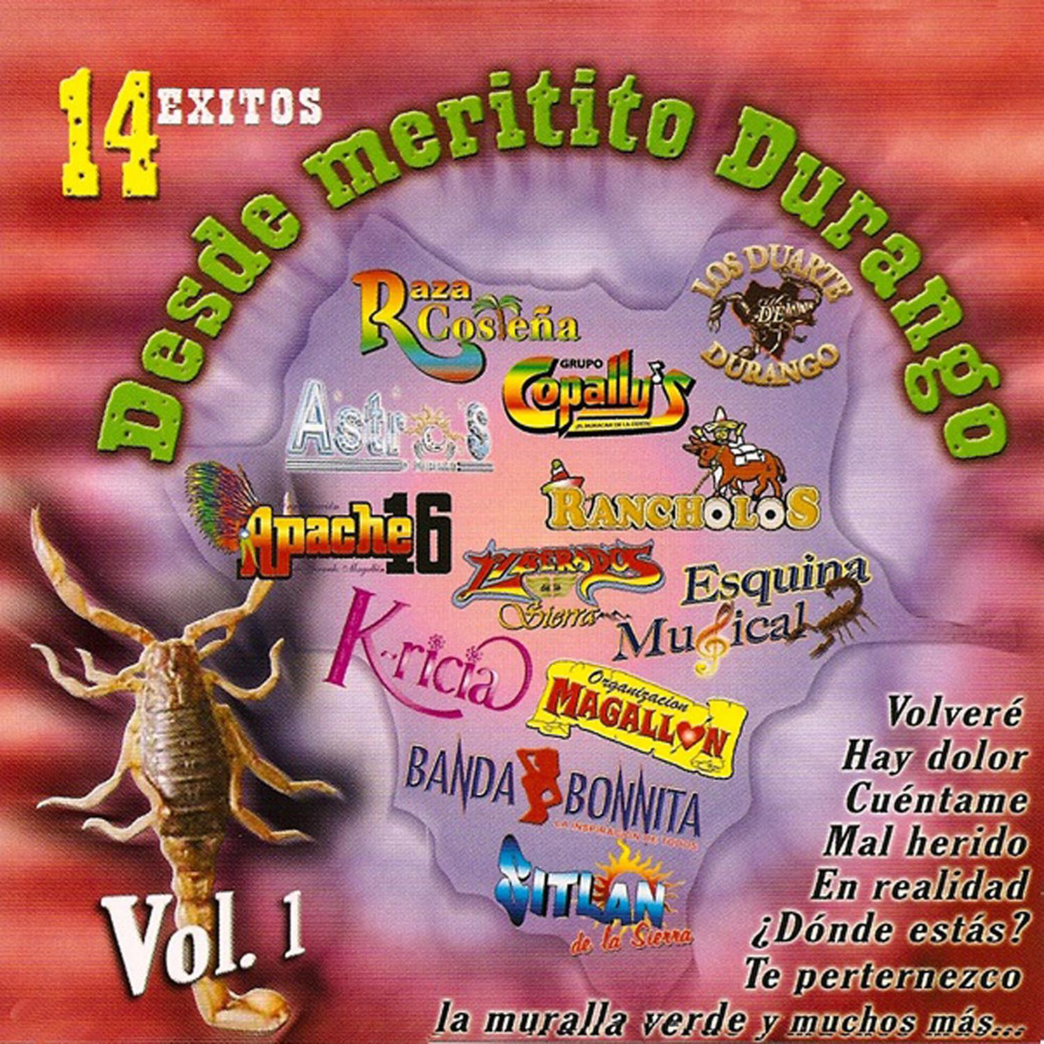 14 Exitos Desede Meritito Durango Vol.1