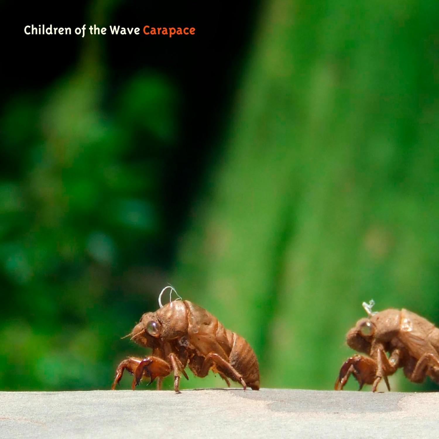 And Then the Rain Came