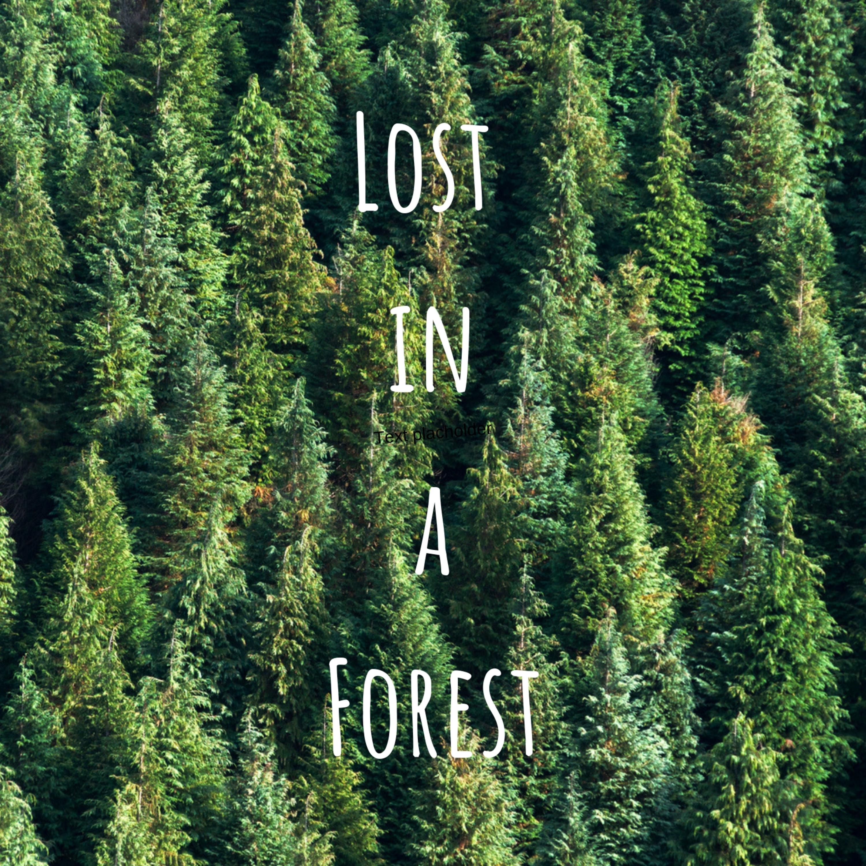 Lost in a Forest
