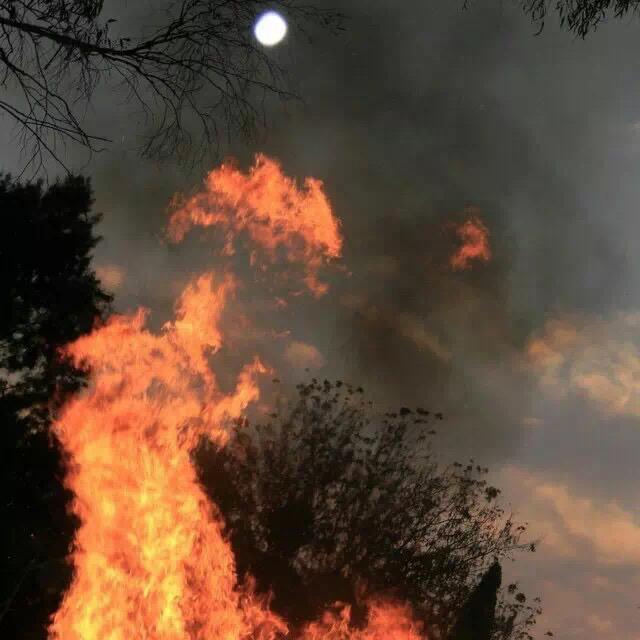 wo yi zhi xi wang wo men neng gou po jing chong yuan