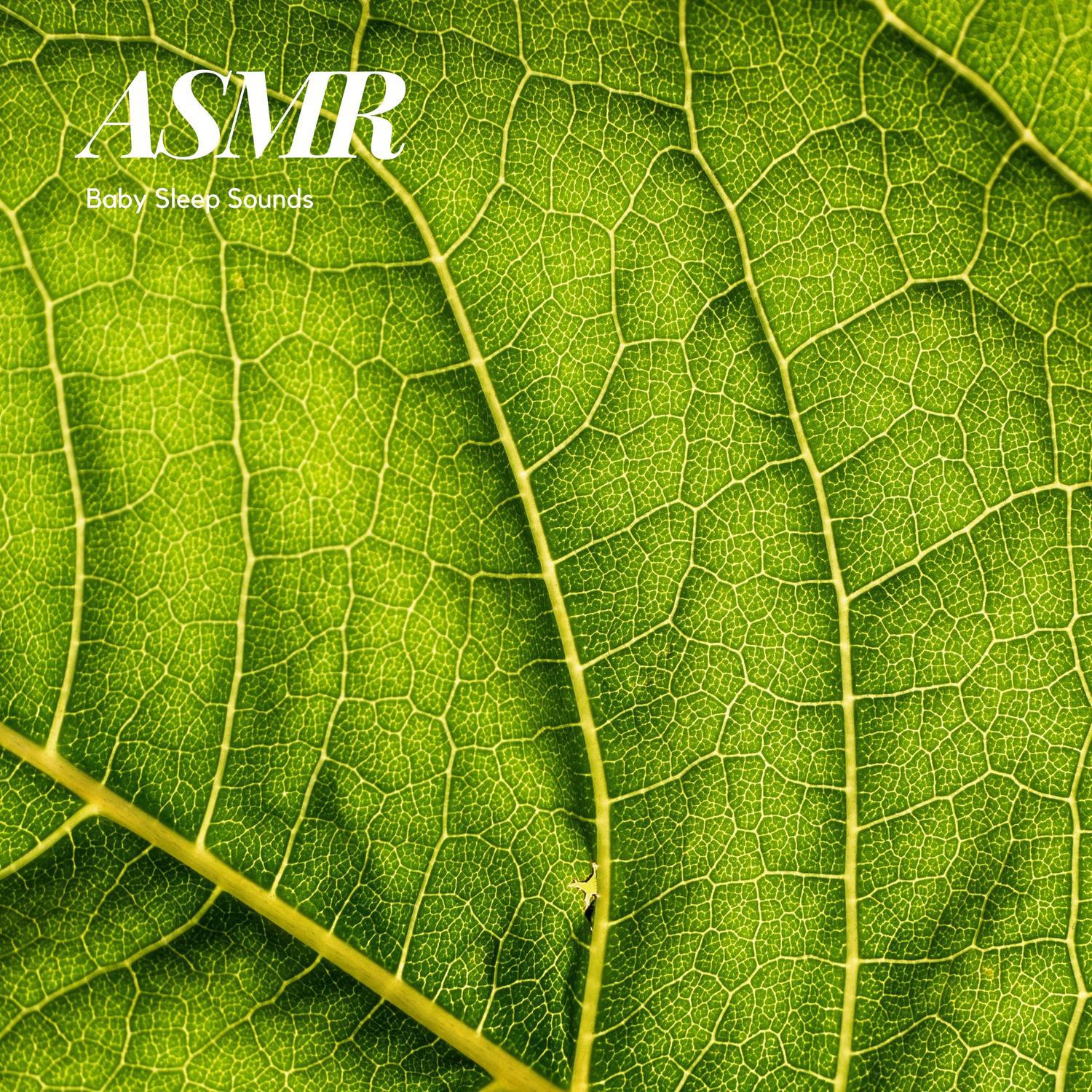 Pine Needle and Wood ASMR