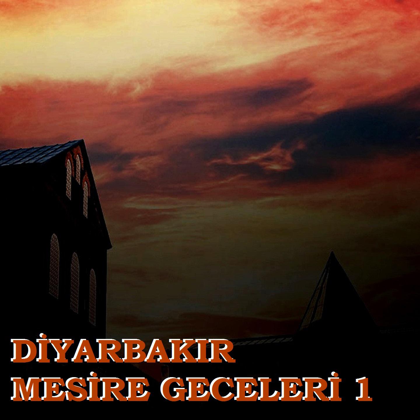Diyarbak r Mesire Geceleri, Vol. 1