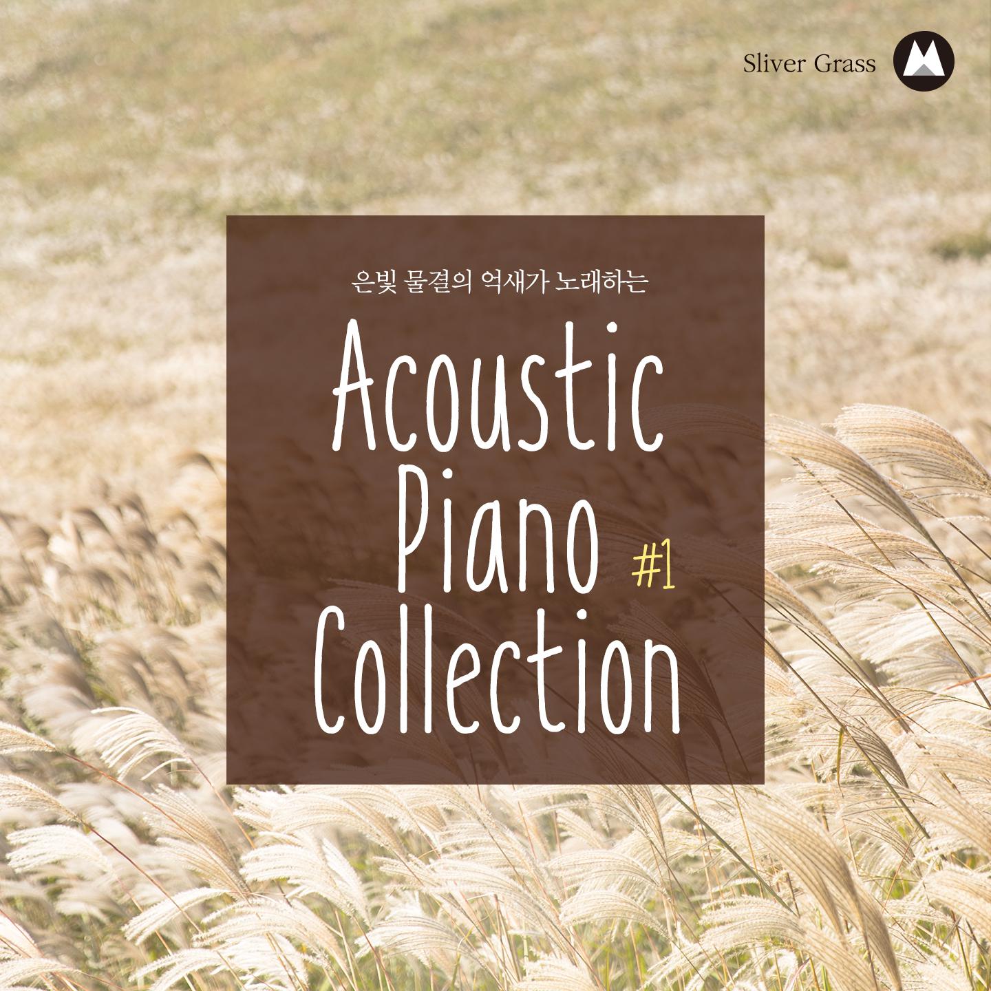 Acoustic Piano Collection With Waves of Silver Grasses #1