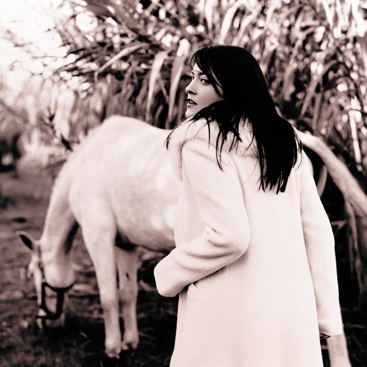 Mes Pas Dans La Neige (Spanish Song Bird)