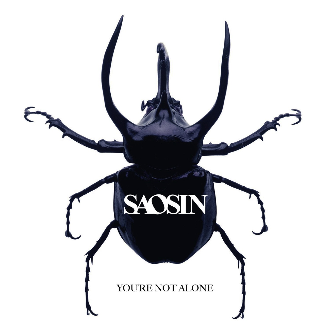 You're Not Alone (Radio Edit)