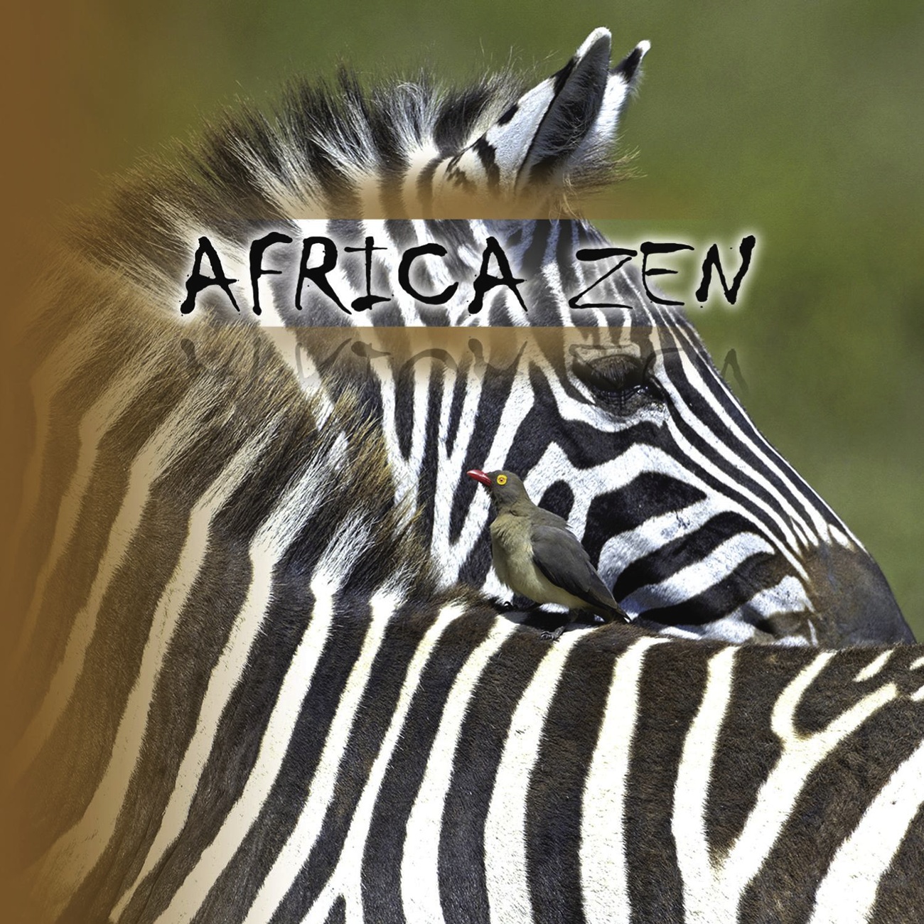 Africa Zen