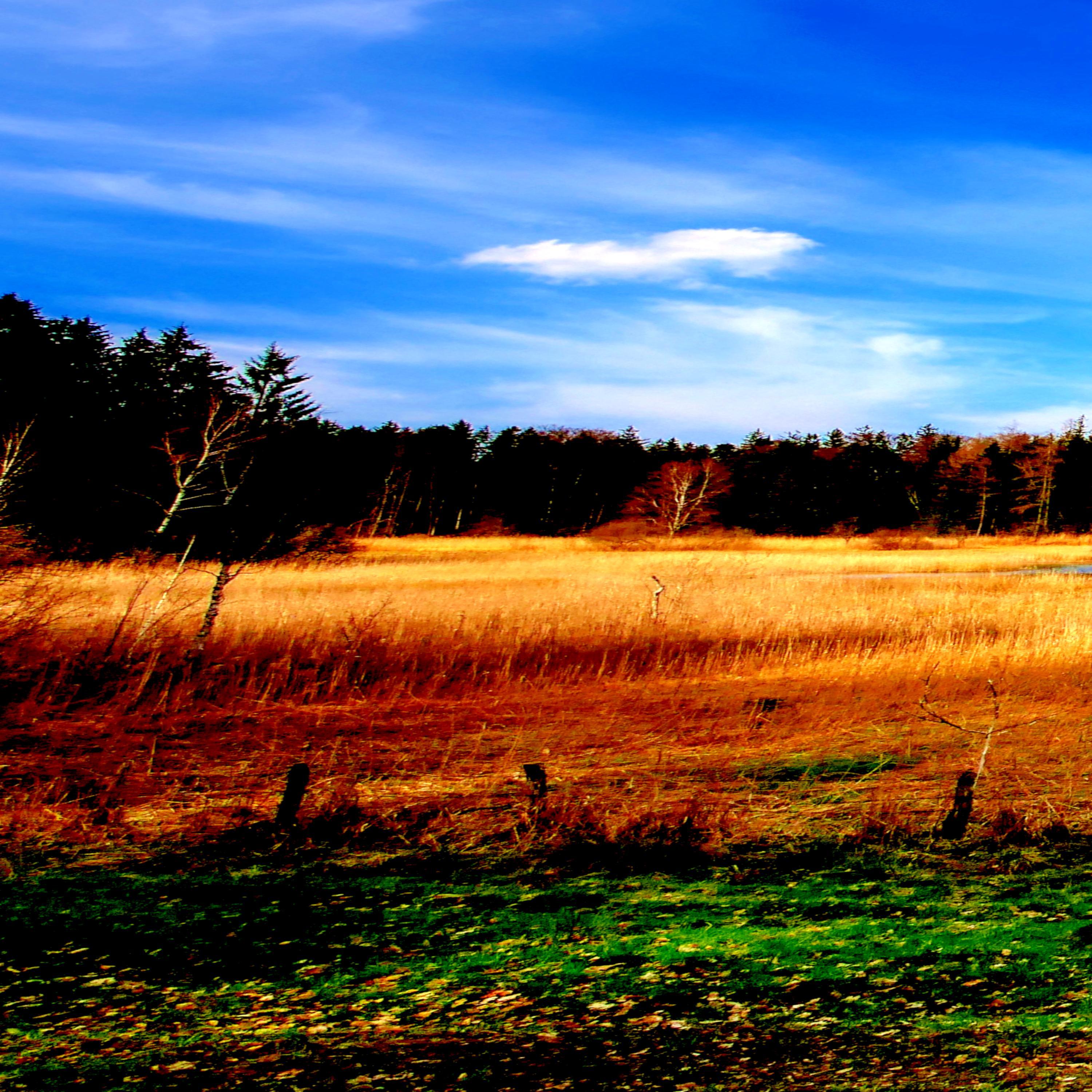 The Lullaby for Everyone