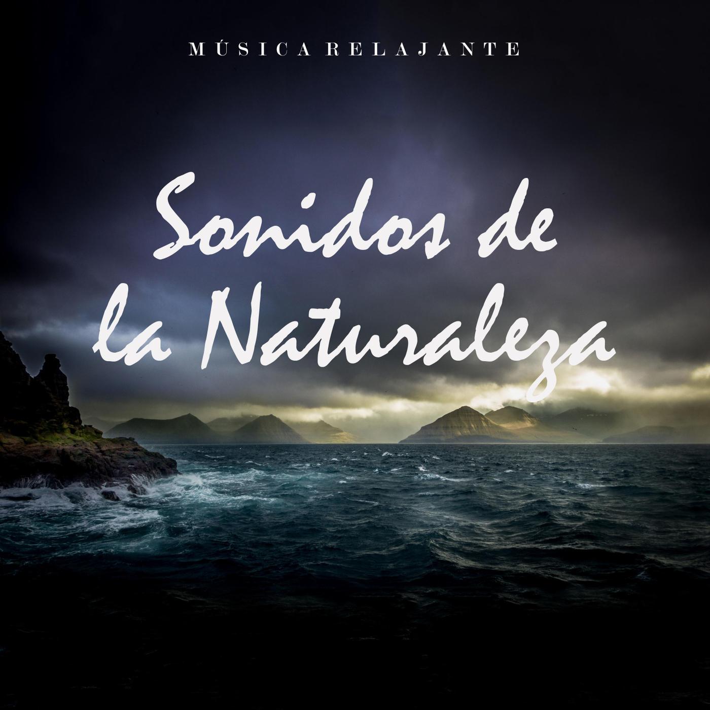Mu sica Relajante: Sonidos de la Naturaleza, Pt. 06