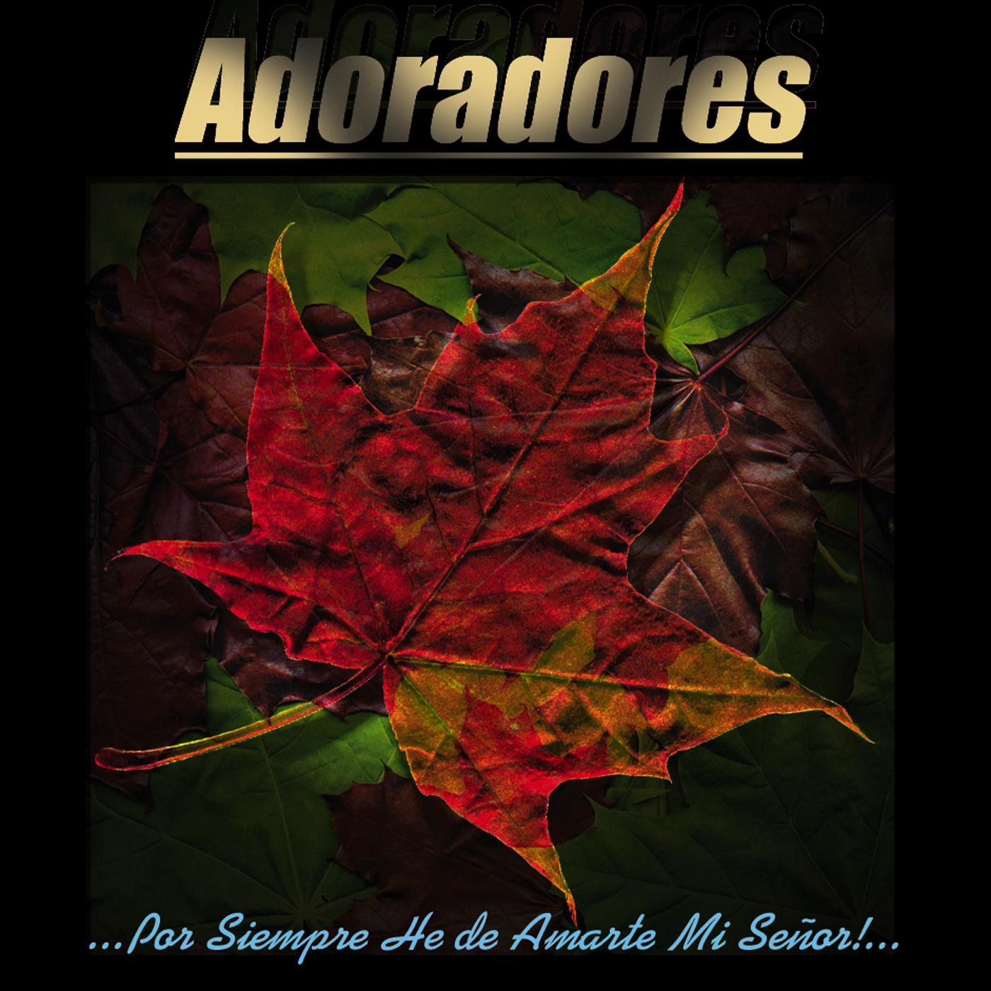 Por Siempre He De Amarte Mi Se or