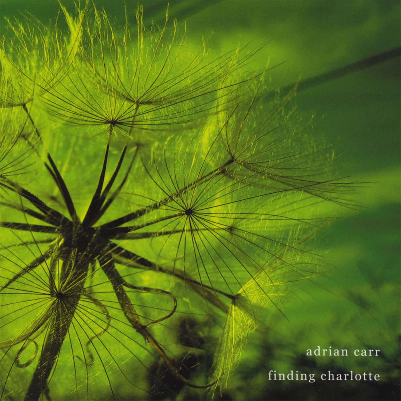 Between the Empty Spaces