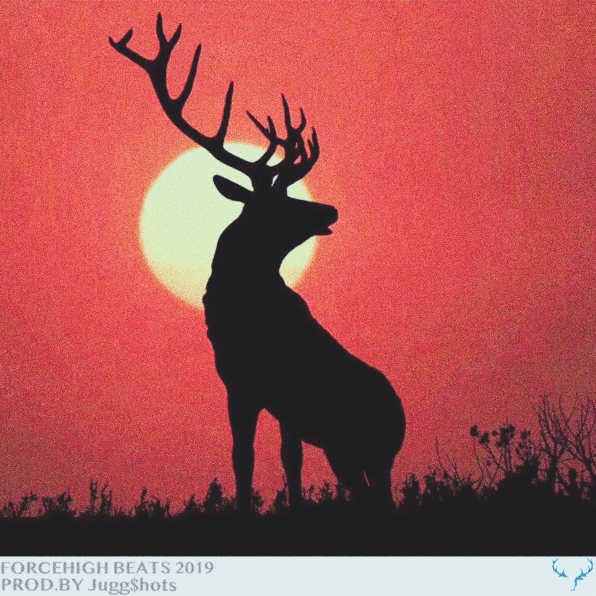 wo yi ding yao yong ta xie shou ge gei wei lai de nv peng you, na yi ding shi yi shou hen tian de ge!