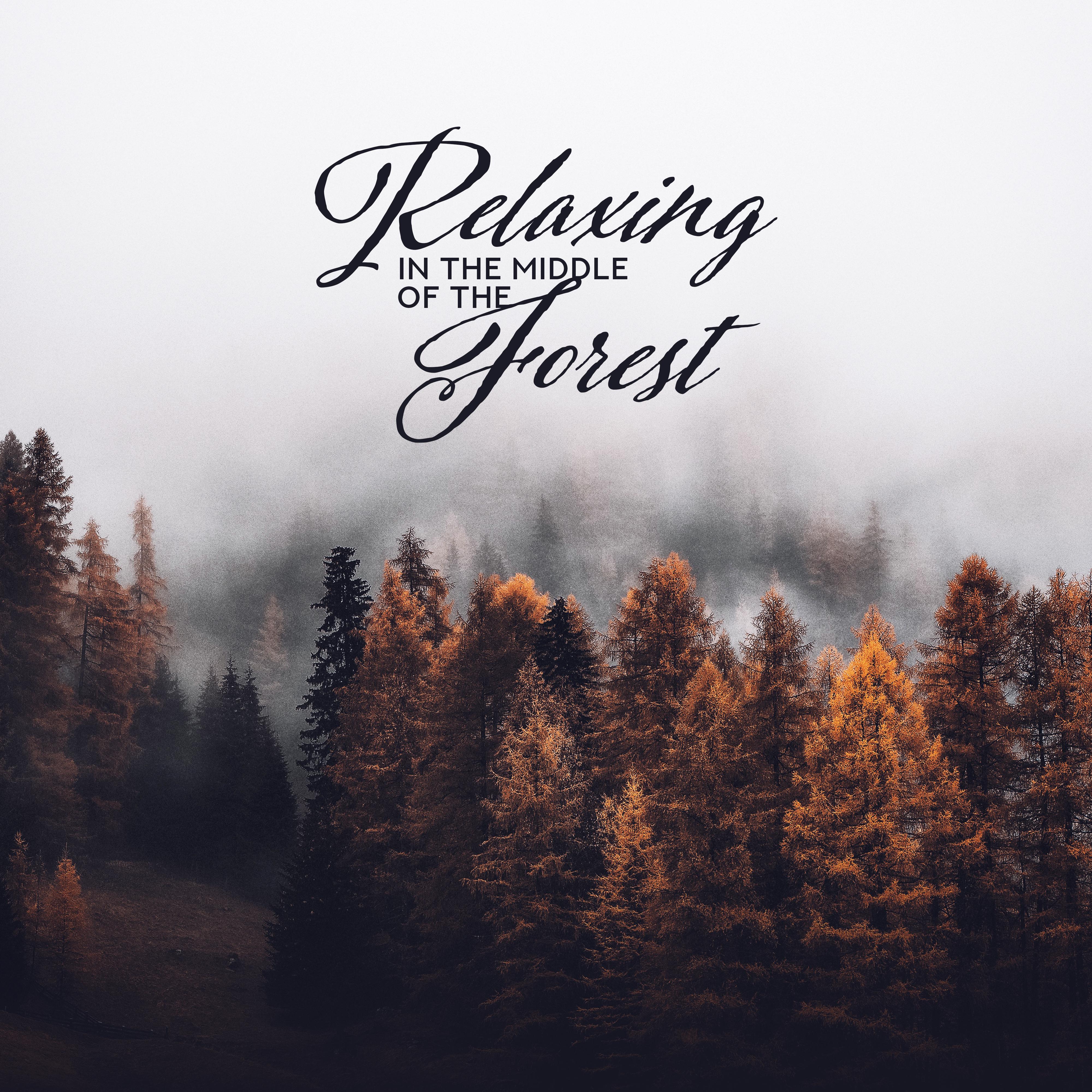 Relaxing in the Middle of the Forest: 2019 Total Calming Down New Age Music, Relaxing Sounds of Nature, Stress Relief Piano Melodies