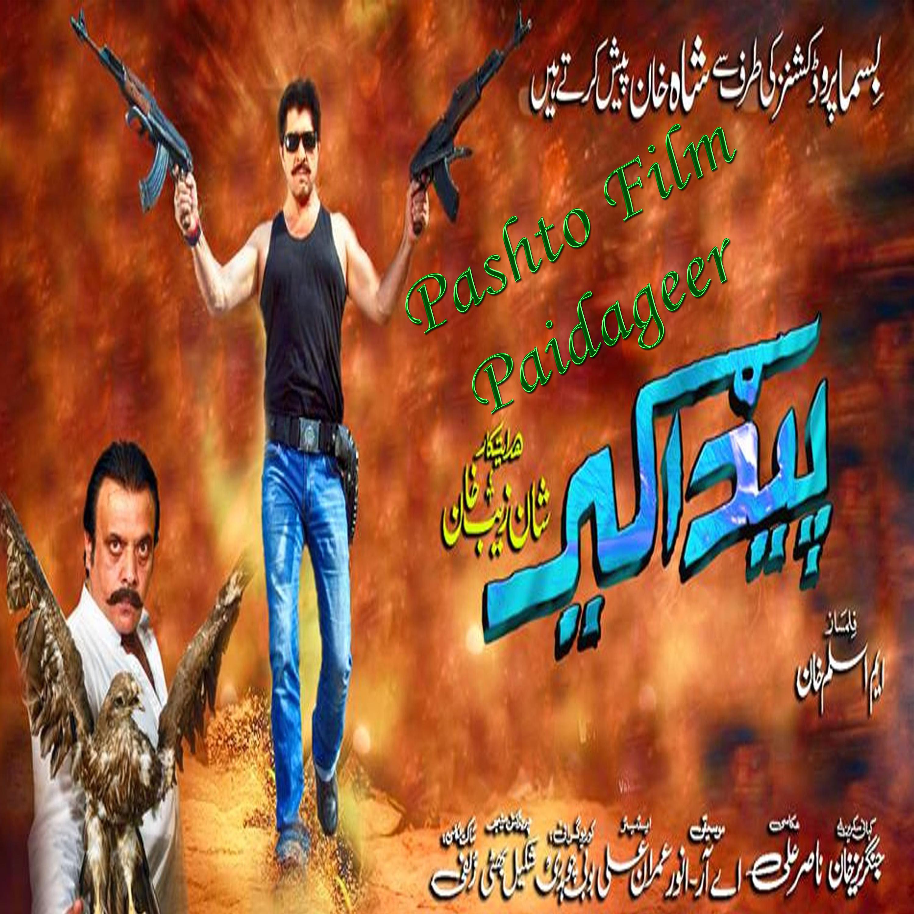 Pashto Film Paidageer Song