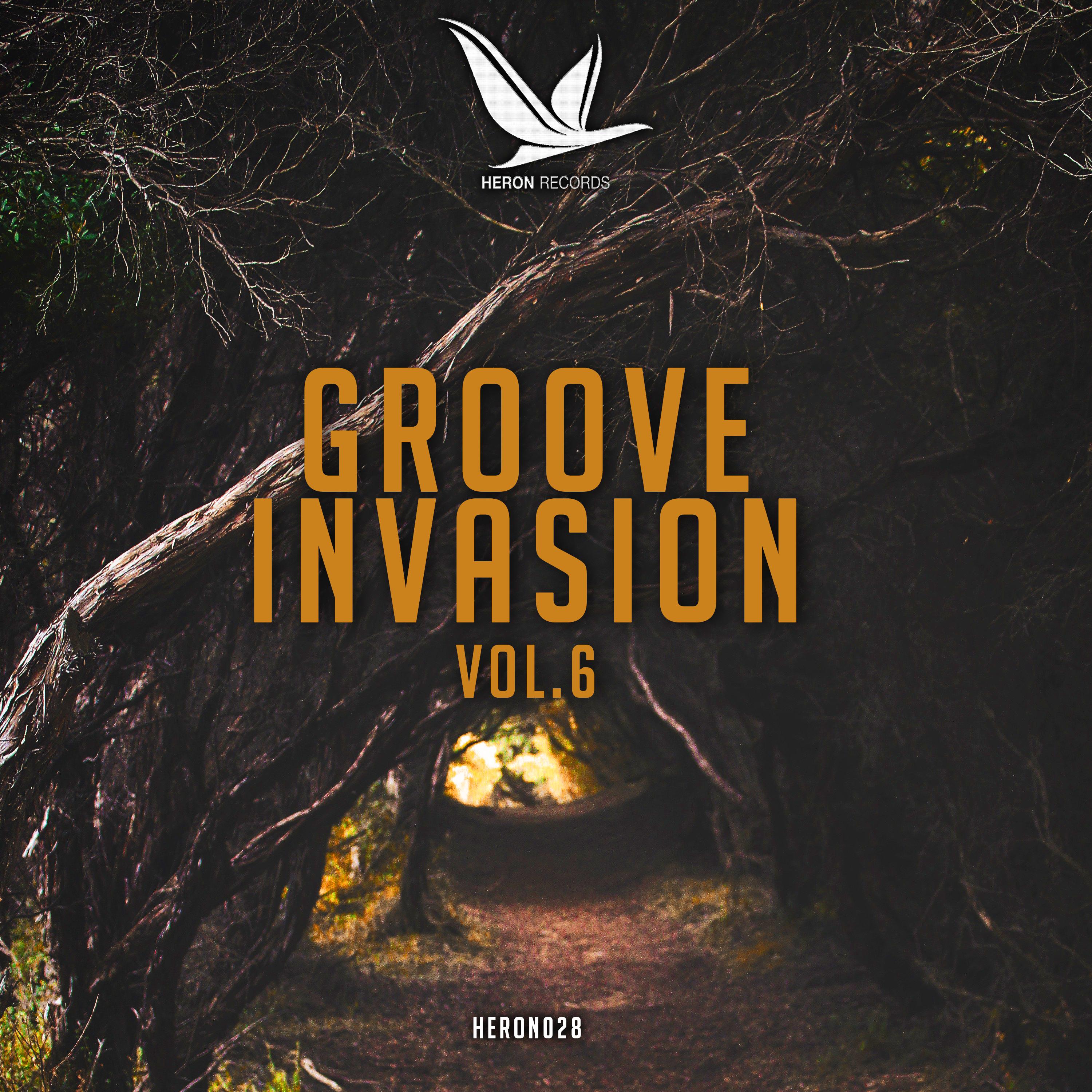 Groove Invasion, Vol. 6
