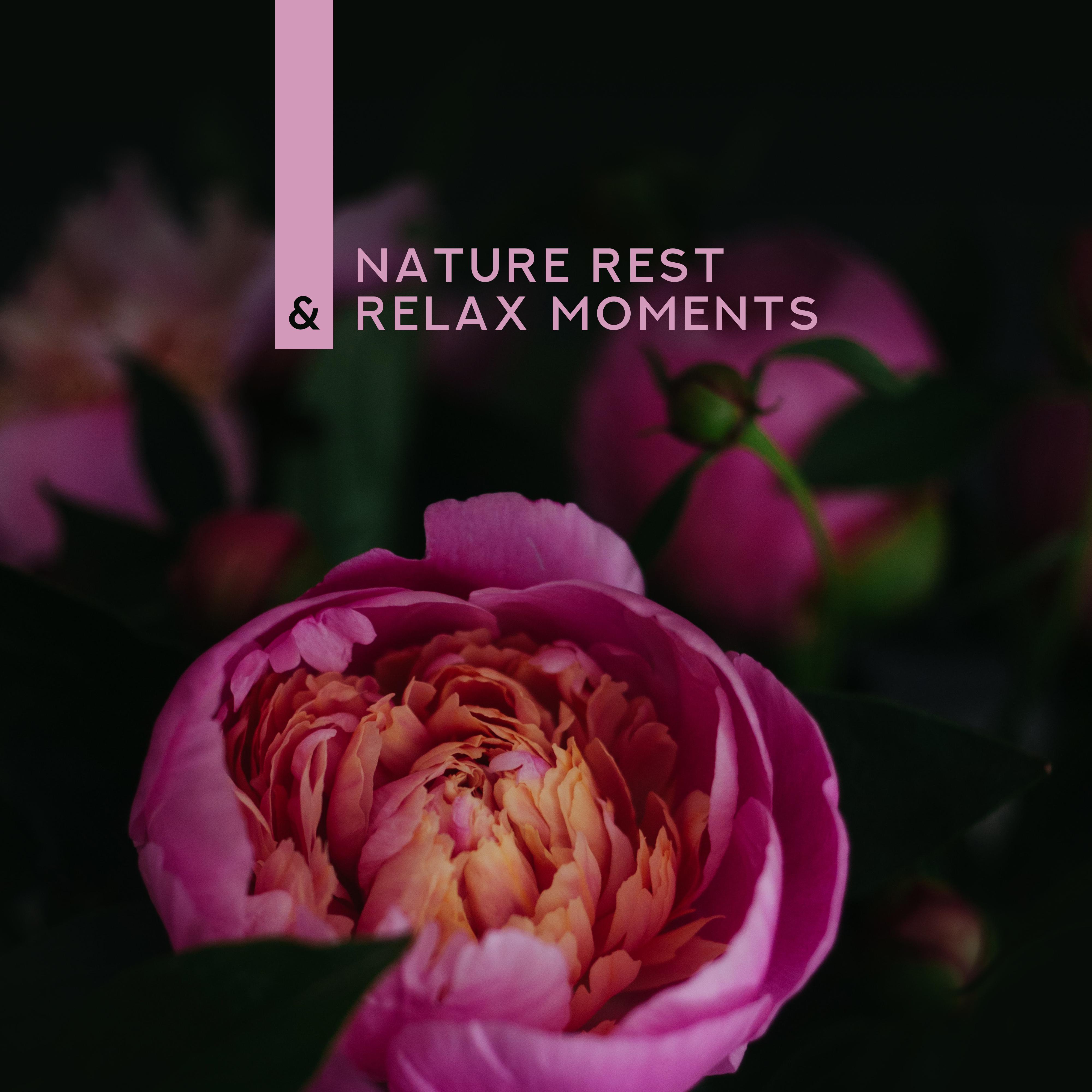 Nature Rest & Relax Moments: New Age Soothing 2019 Music Selection, Soft Sounds of Nature with Lovely Piano Melodies, Total Relaxation & Calming Down