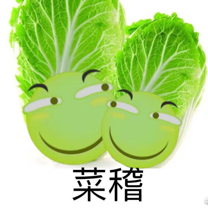 cai ji de fan dan yu gai bian